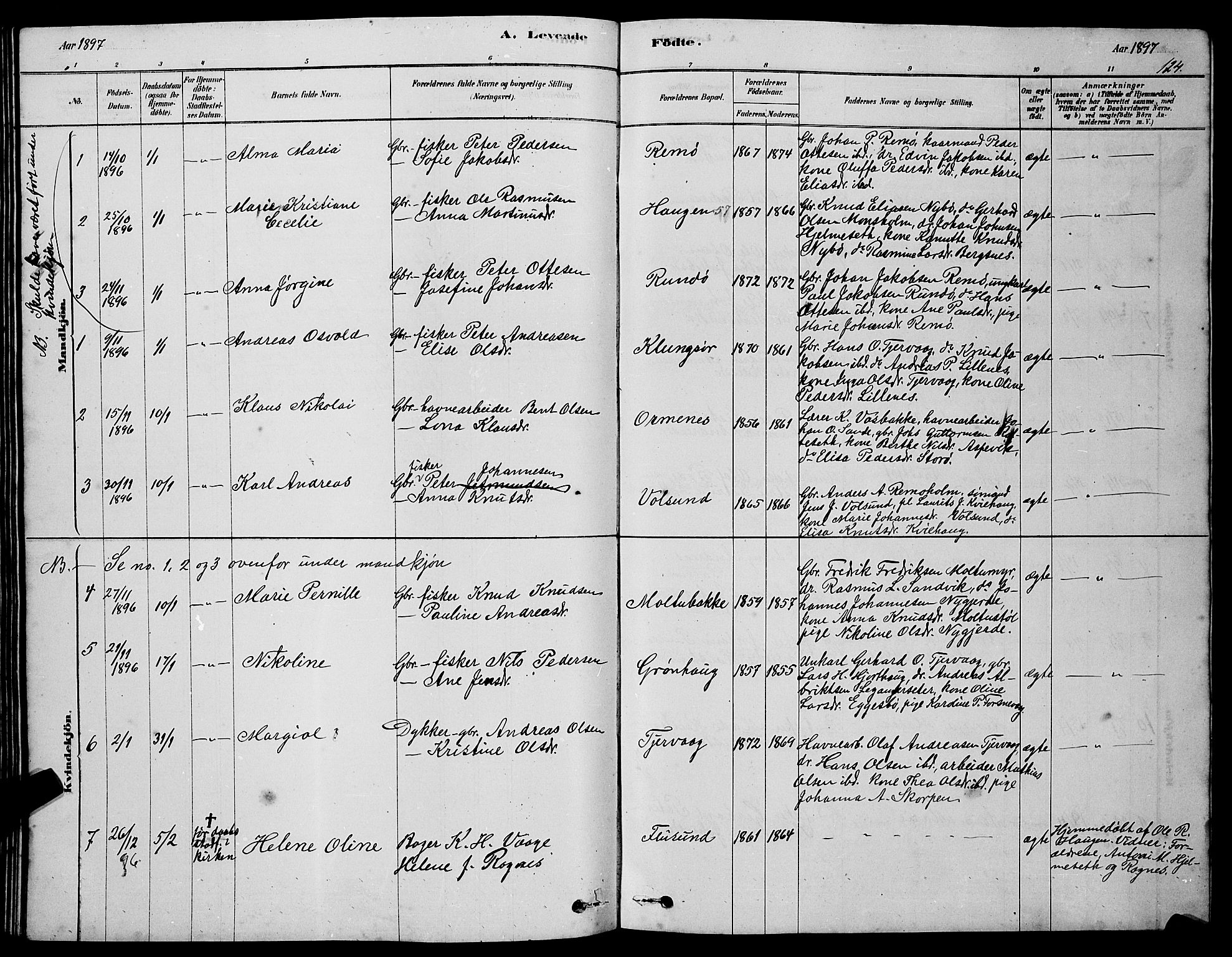 Ministerialprotokoller, klokkerbøker og fødselsregistre - Møre og Romsdal, AV/SAT-A-1454/507/L0081: Parish register (copy) no. 507C04, 1878-1898, p. 124