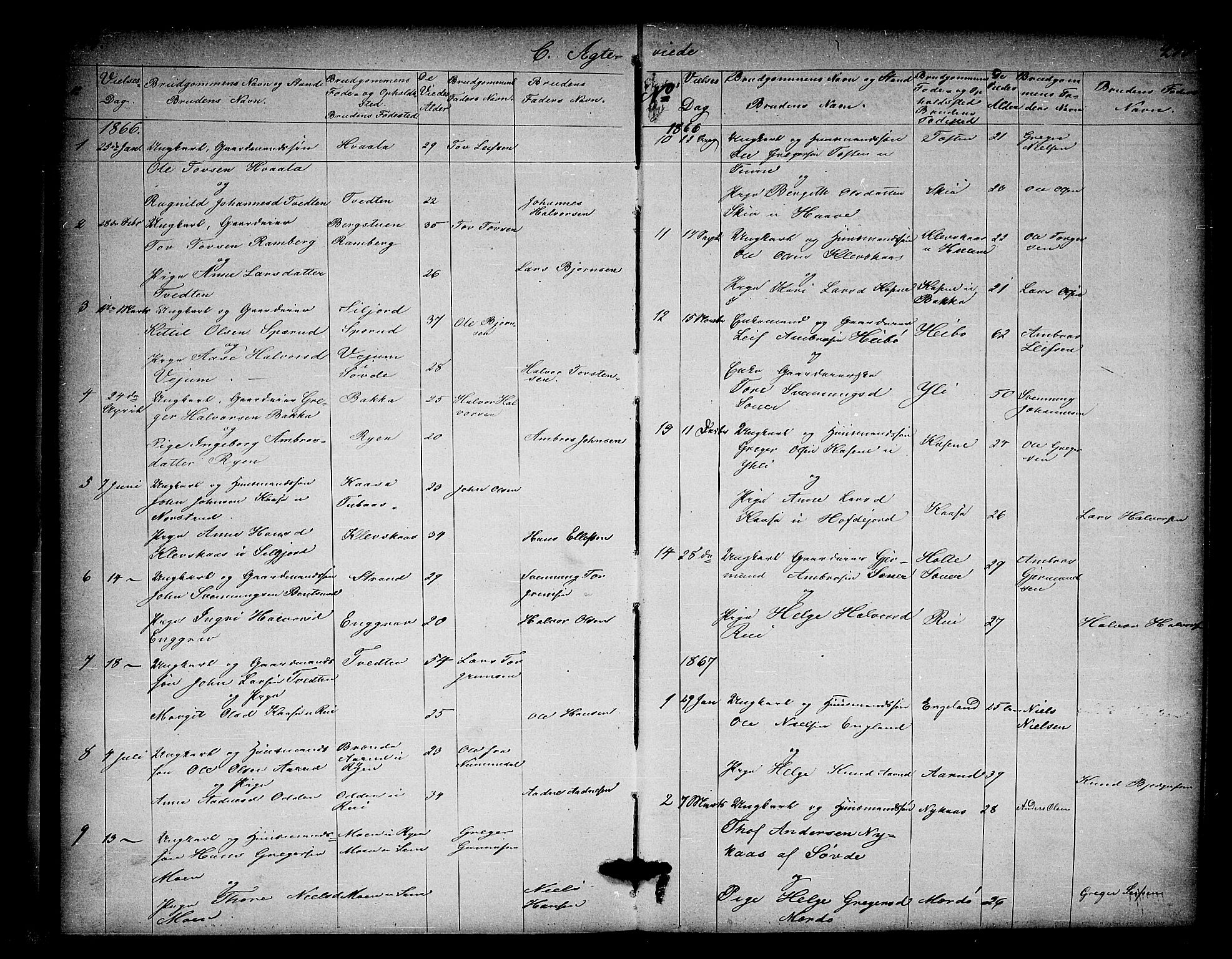 Heddal kirkebøker, AV/SAKO-A-268/G/Ga/L0001: Parish register (copy) no. I 1, 1866-1878, p. 294-295