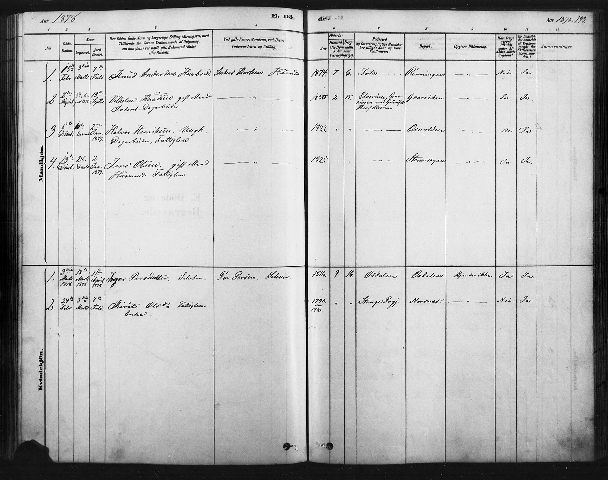 Åmot prestekontor, Hedmark, SAH/PREST-056/H/Ha/Haa/L0012: Parish register (official) no. 12, 1878-1901, p. 193