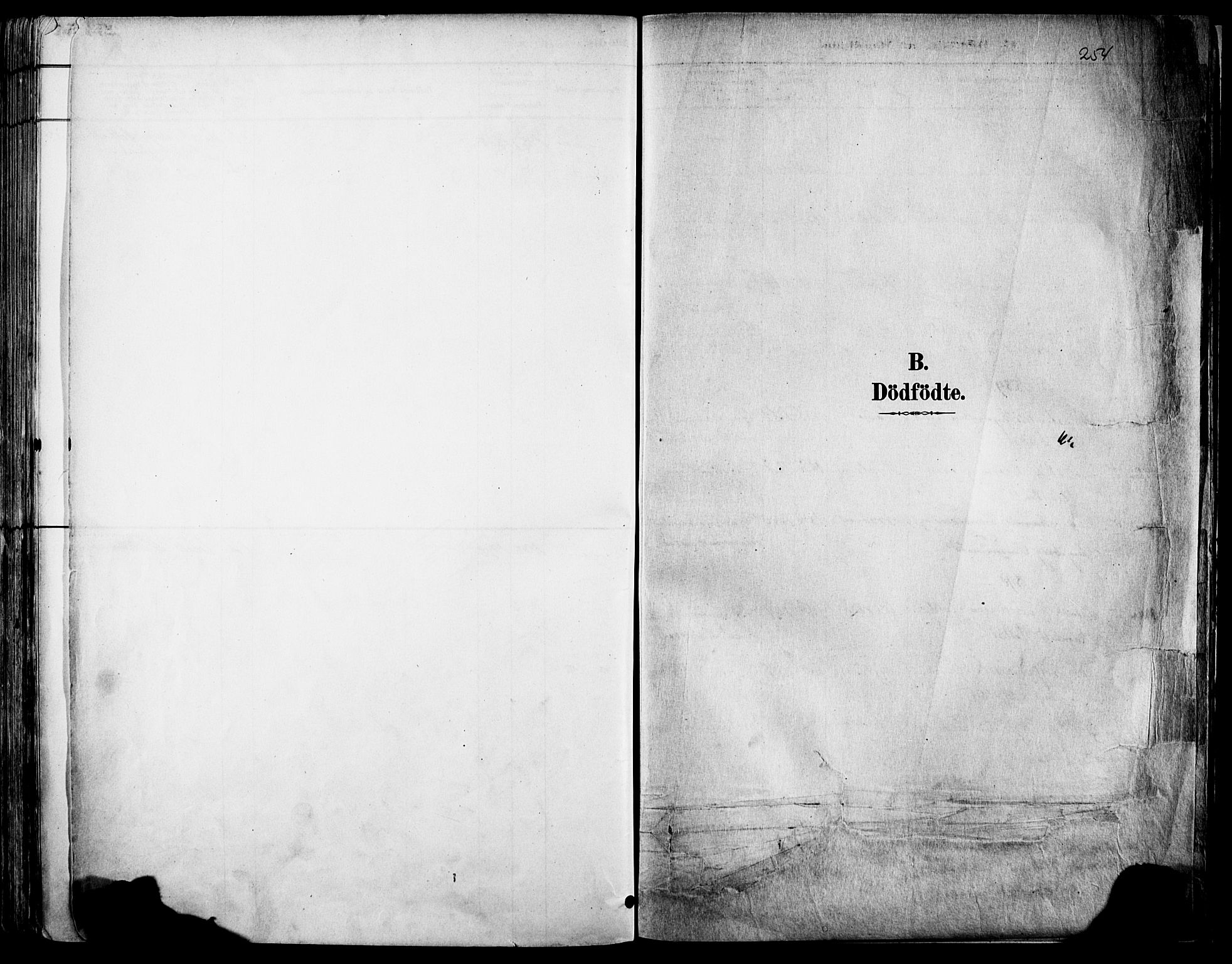 Voss sokneprestembete, SAB/A-79001/H/Haa: Parish register (official) no. A 21, 1887-1903, p. 254