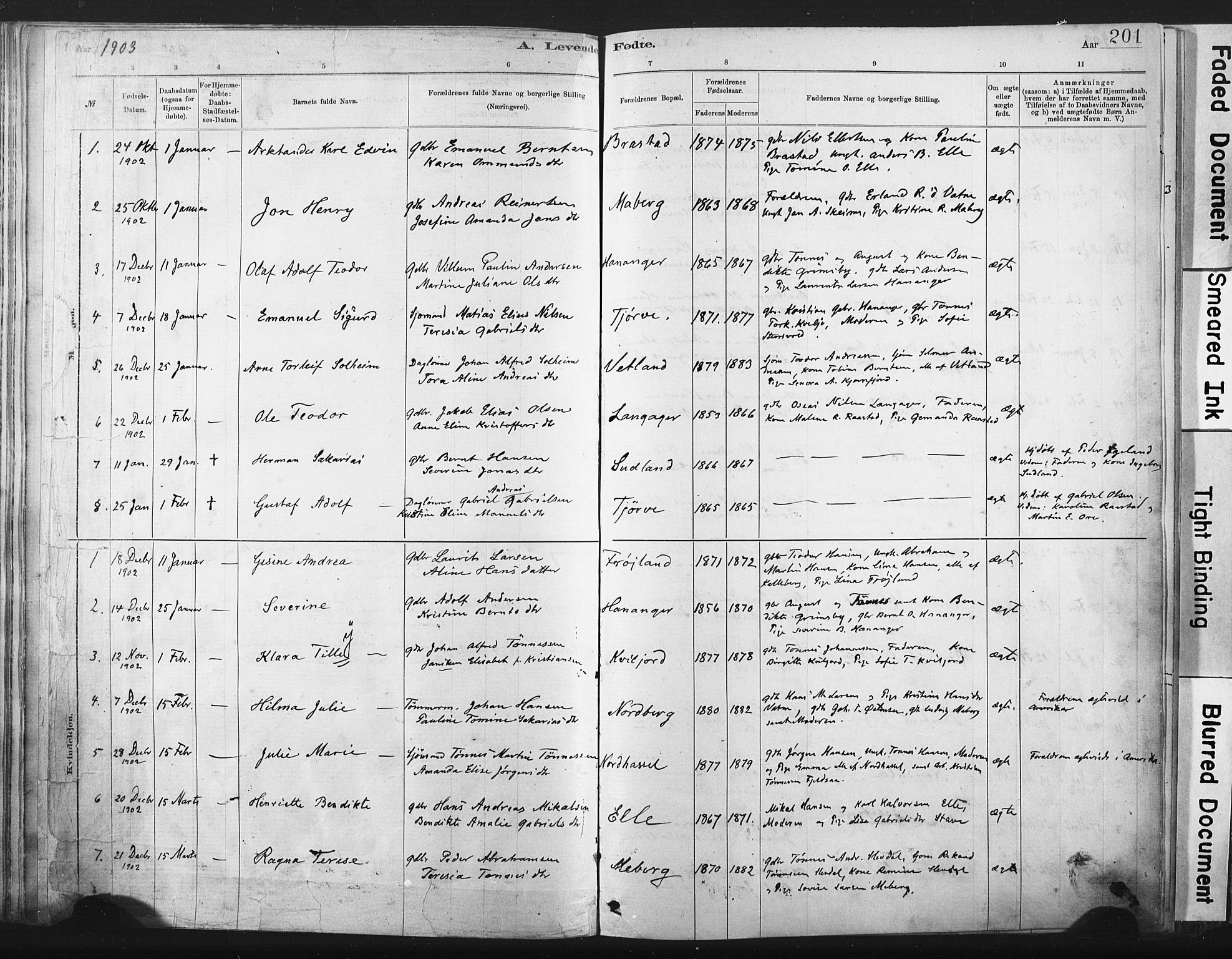 Lista sokneprestkontor, SAK/1111-0027/F/Fa/L0012: Parish register (official) no. A 12, 1879-1903, p. 201