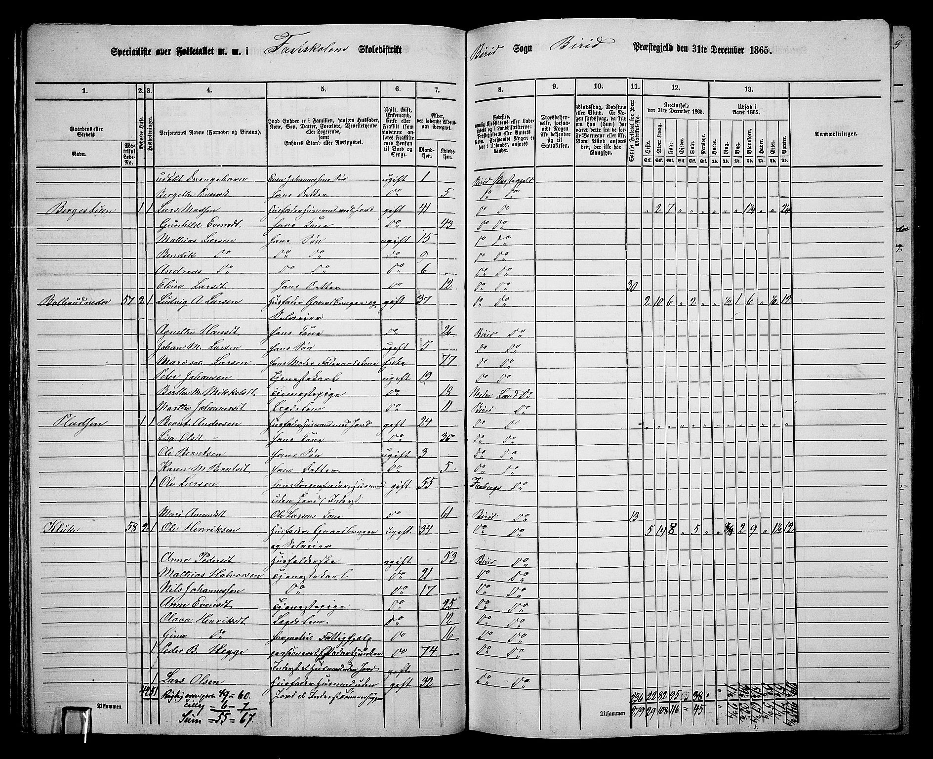 RA, 1865 census for Biri, 1865, p. 50