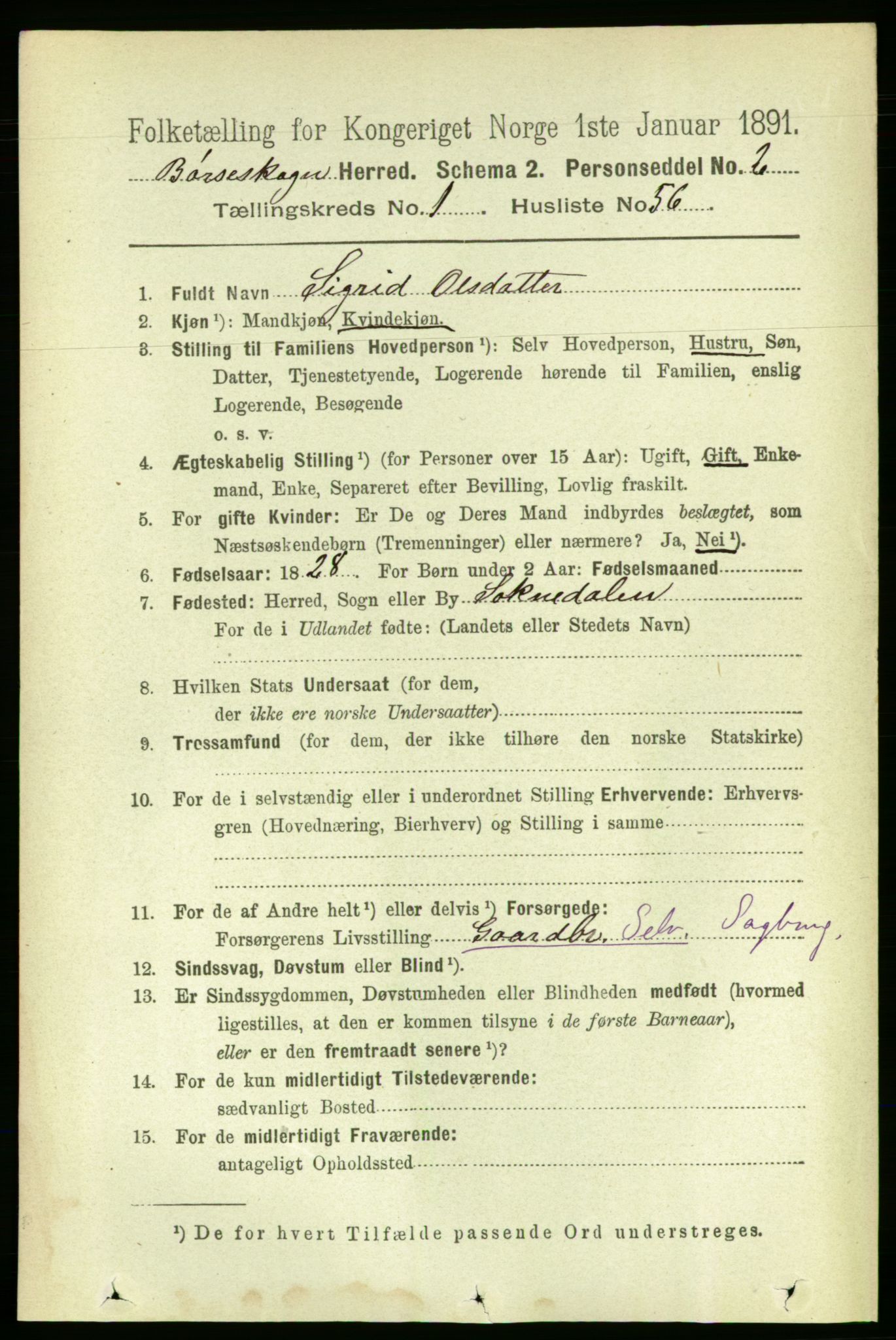 RA, 1891 census for 1657 Børseskogn, 1891, p. 465