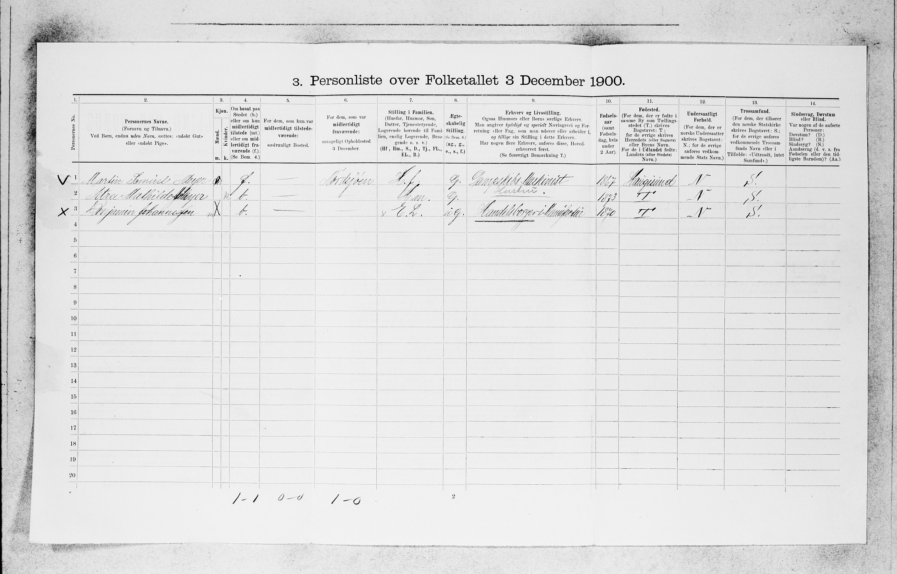 SAB, 1900 census for Bergen, 1900, p. 3484