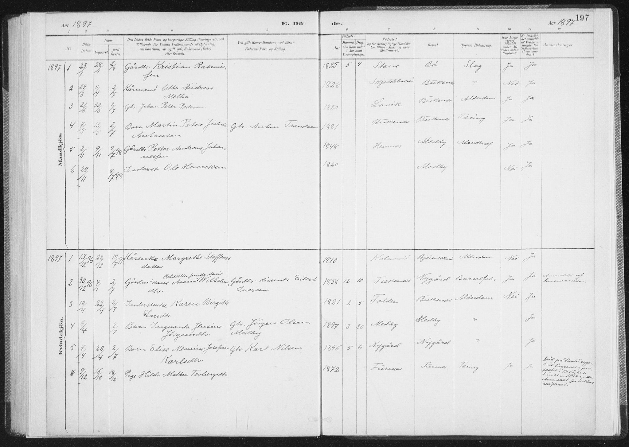 Ministerialprotokoller, klokkerbøker og fødselsregistre - Nordland, SAT/A-1459/898/L1422: Parish register (official) no. 898A02, 1887-1908, p. 197
