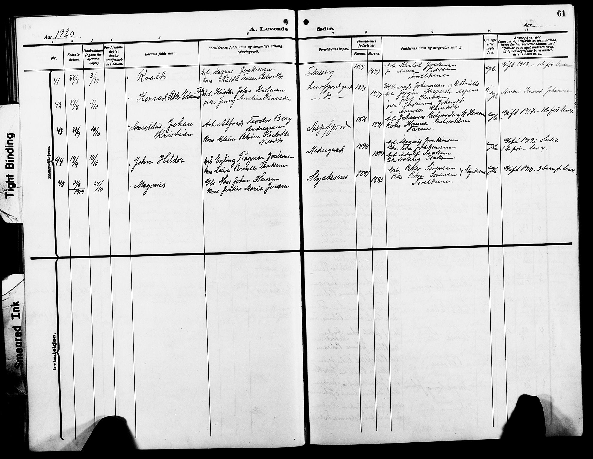 Ministerialprotokoller, klokkerbøker og fødselsregistre - Nordland, AV/SAT-A-1459/854/L0787: Parish register (copy) no. 854C03, 1913-1926, p. 61