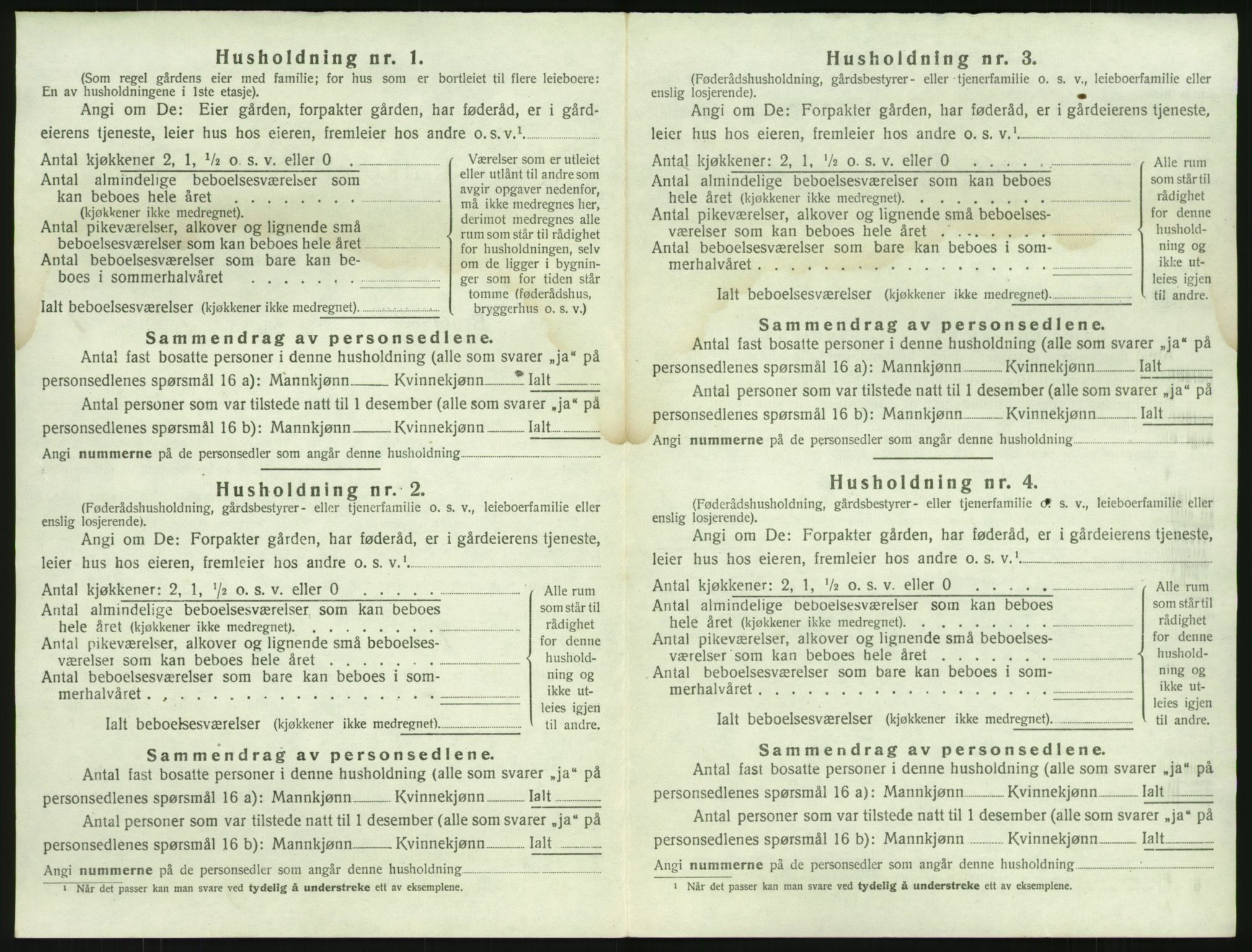 SAKO, 1920 census for Brunlanes, 1920, p. 304