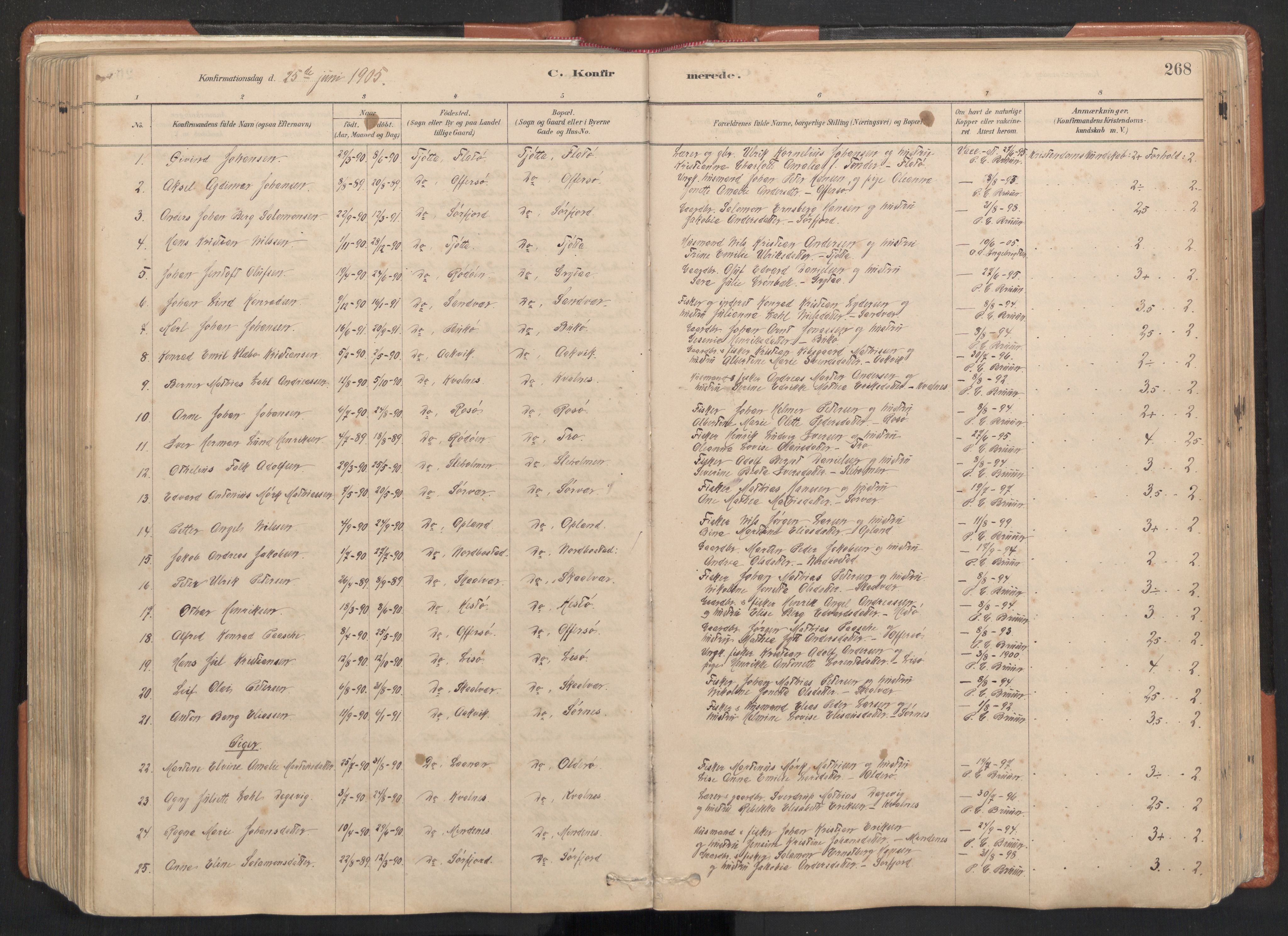 Ministerialprotokoller, klokkerbøker og fødselsregistre - Nordland, AV/SAT-A-1459/817/L0264: Parish register (official) no. 817A04, 1878-1907, p. 268