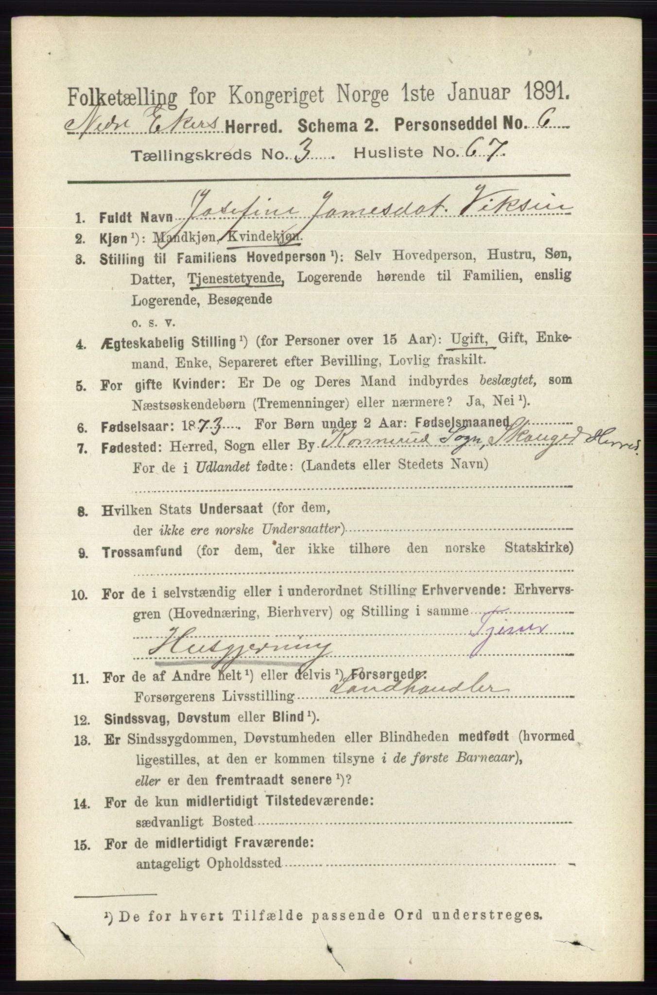 RA, 1891 census for 0625 Nedre Eiker, 1891, p. 1551