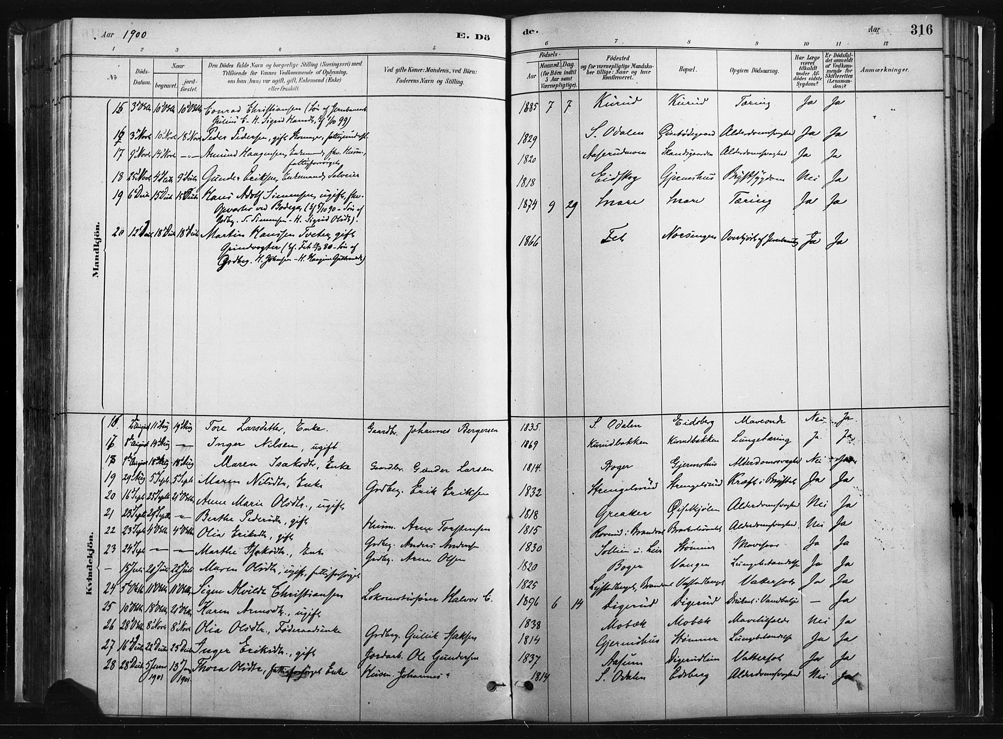 Vinger prestekontor, AV/SAH-PREST-024/H/Ha/Haa/L0014: Parish register (official) no. 14, 1881-1900, p. 316