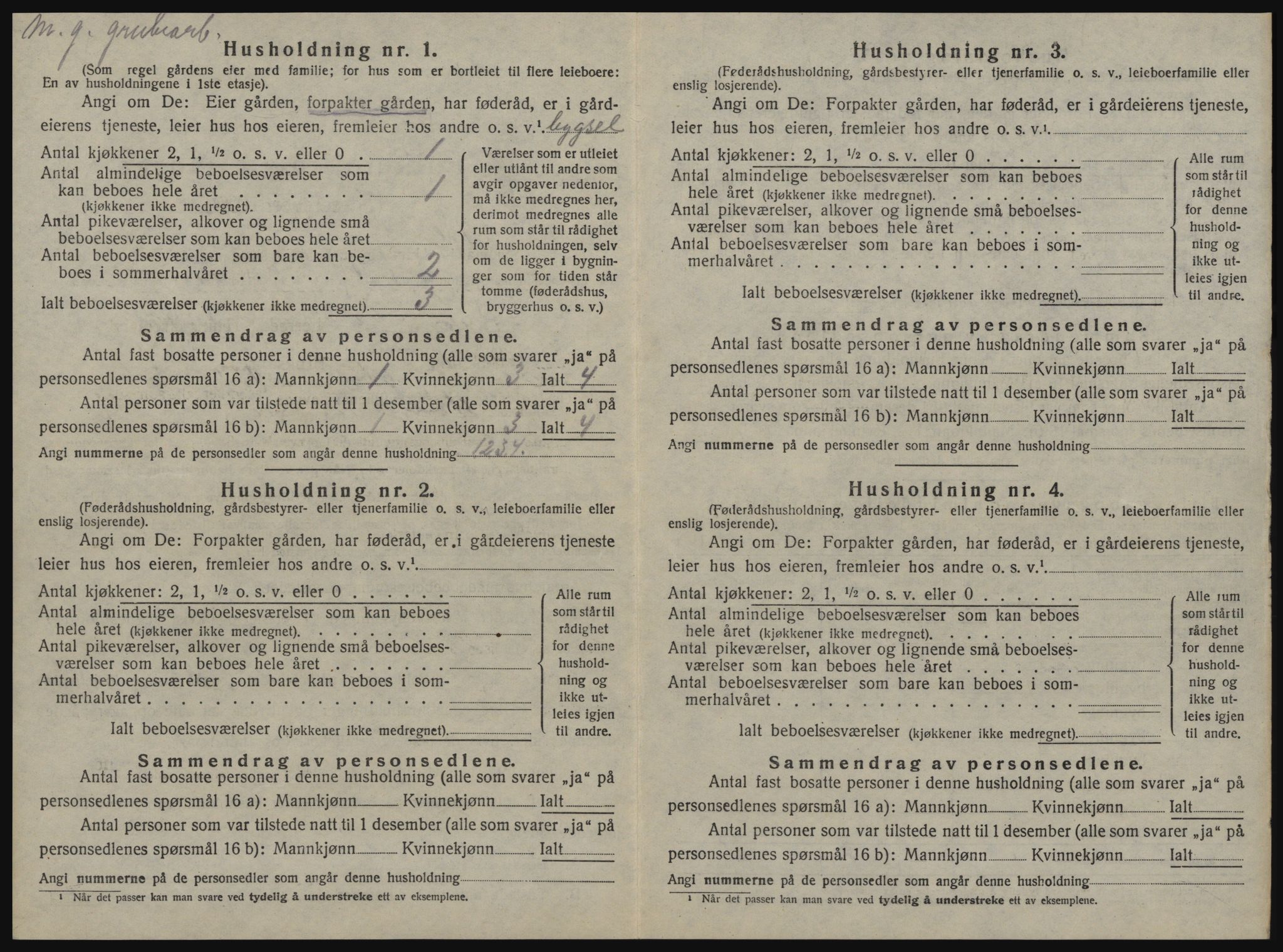 SAT, 1920 census for Meldal, 1920, p. 74