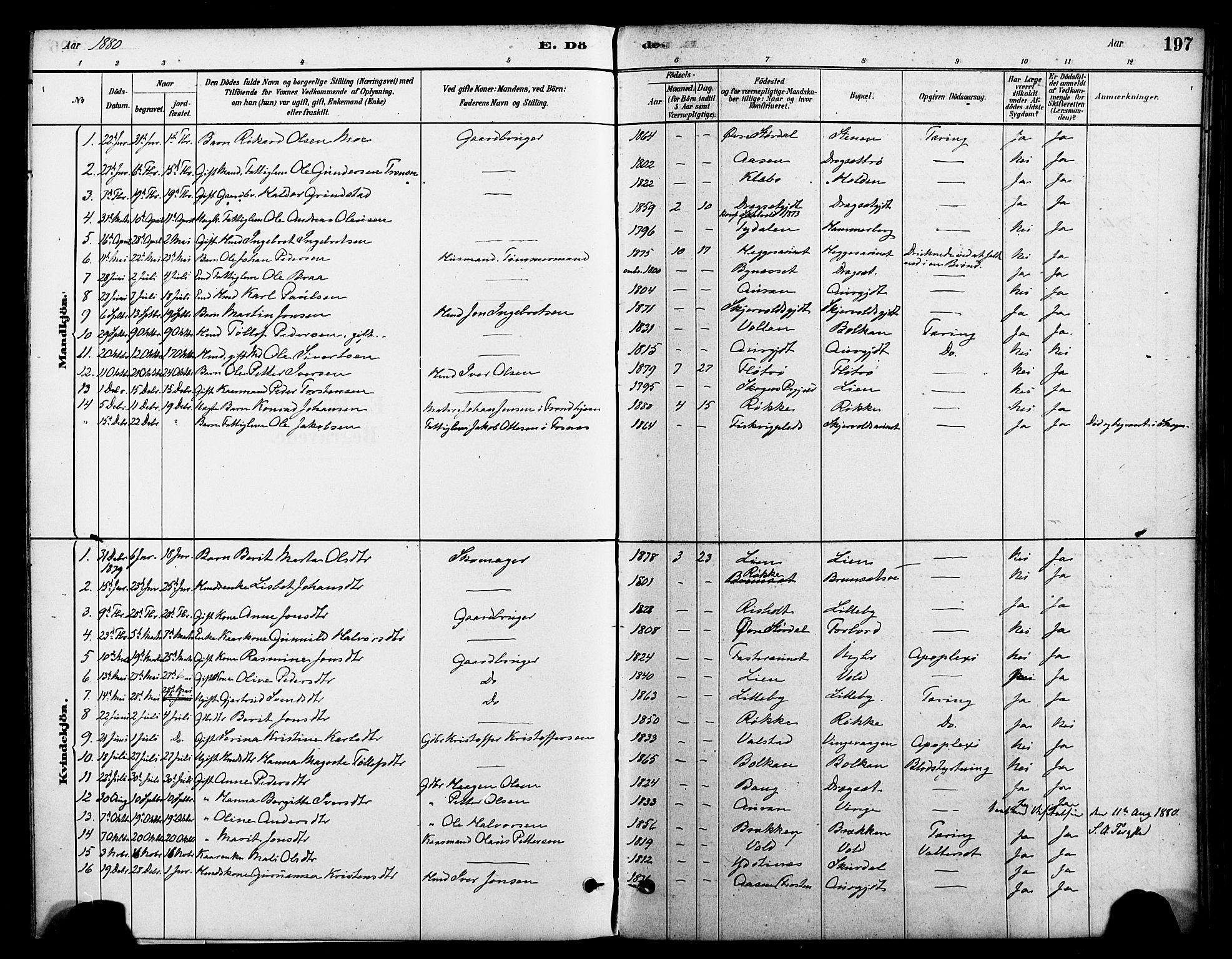 Ministerialprotokoller, klokkerbøker og fødselsregistre - Nord-Trøndelag, SAT/A-1458/712/L0100: Parish register (official) no. 712A01, 1880-1900, p. 197