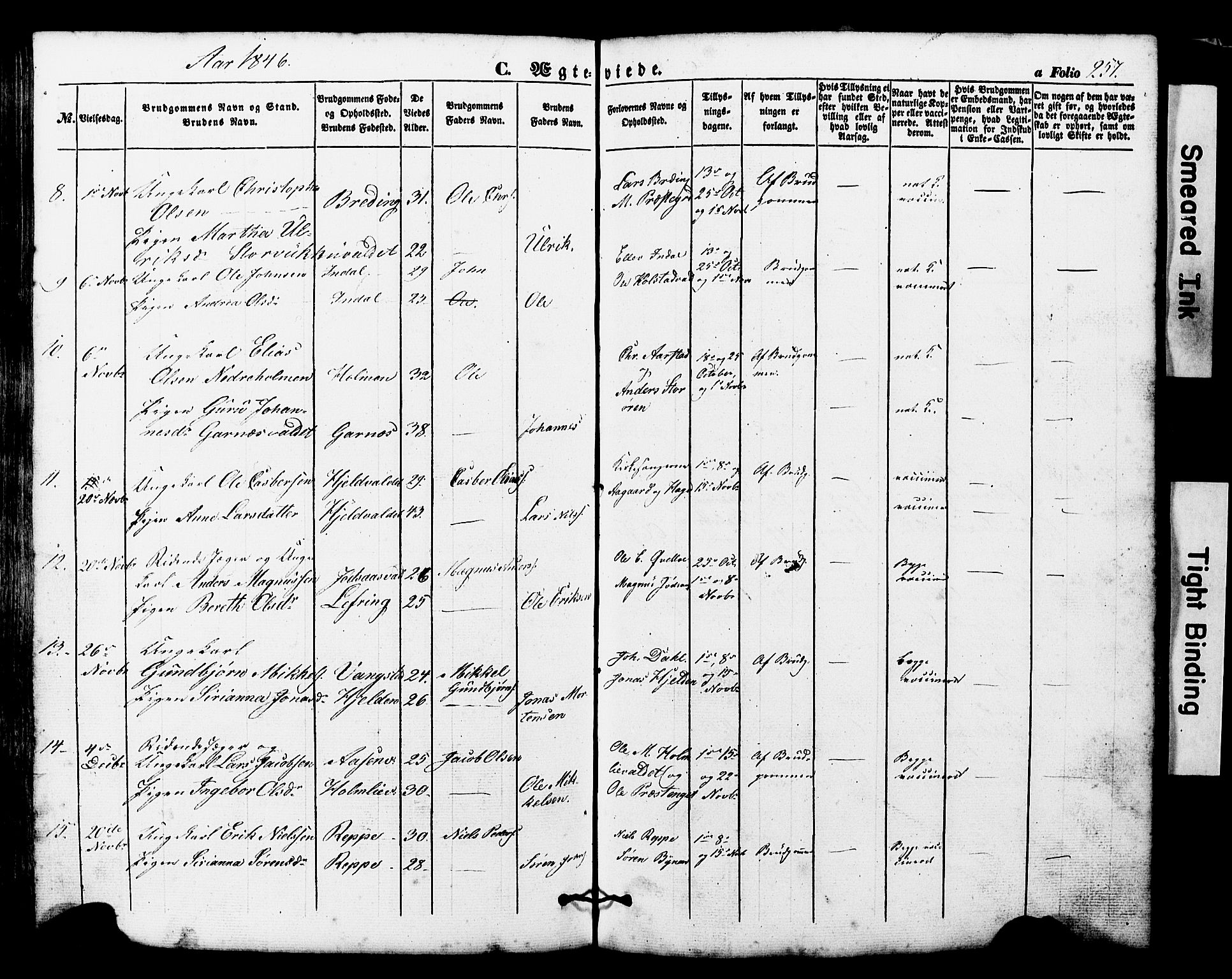 Ministerialprotokoller, klokkerbøker og fødselsregistre - Nord-Trøndelag, AV/SAT-A-1458/724/L0268: Parish register (copy) no. 724C04, 1846-1878, p. 257