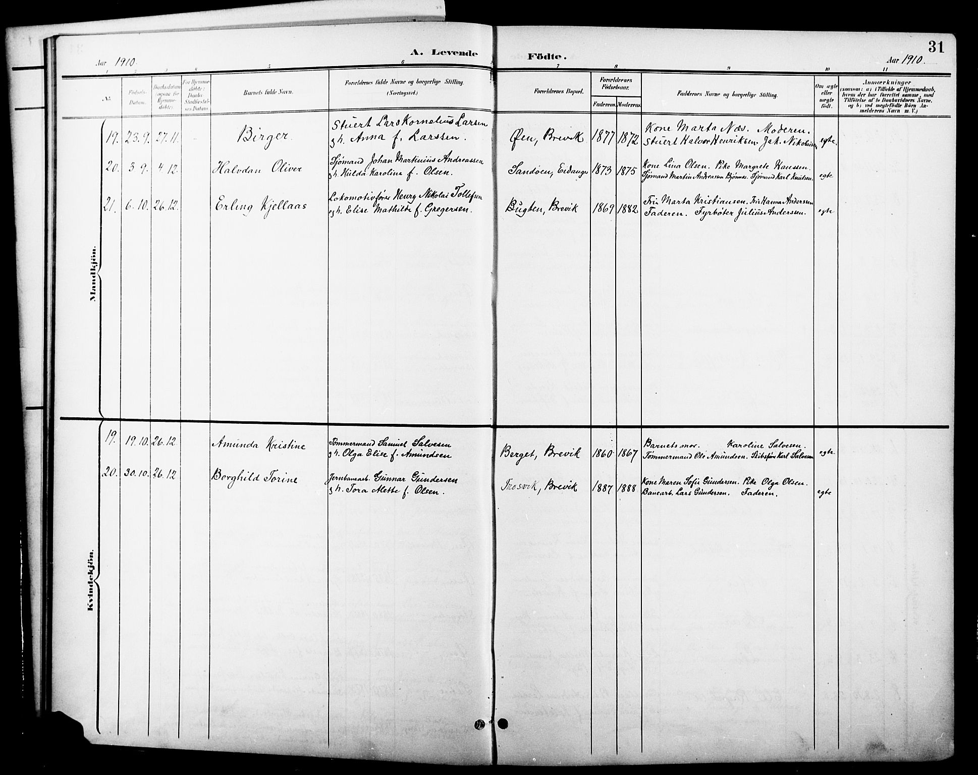 Brevik kirkebøker, SAKO/A-255/G/Ga/L0005: Parish register (copy) no. 5, 1901-1924, p. 31