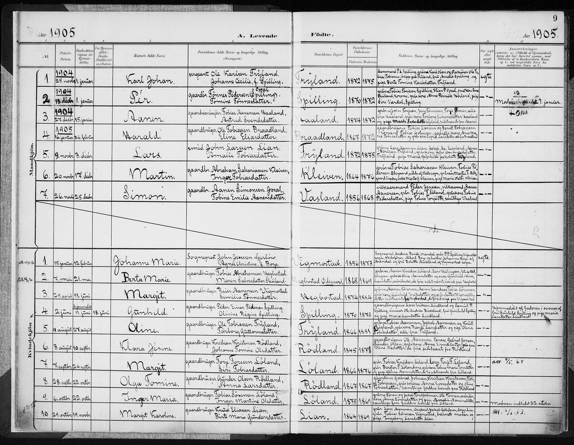 Nord-Audnedal sokneprestkontor, SAK/1111-0032/F/Fa/Fab/L0004: Parish register (official) no. A 4, 1901-1917, p. 9