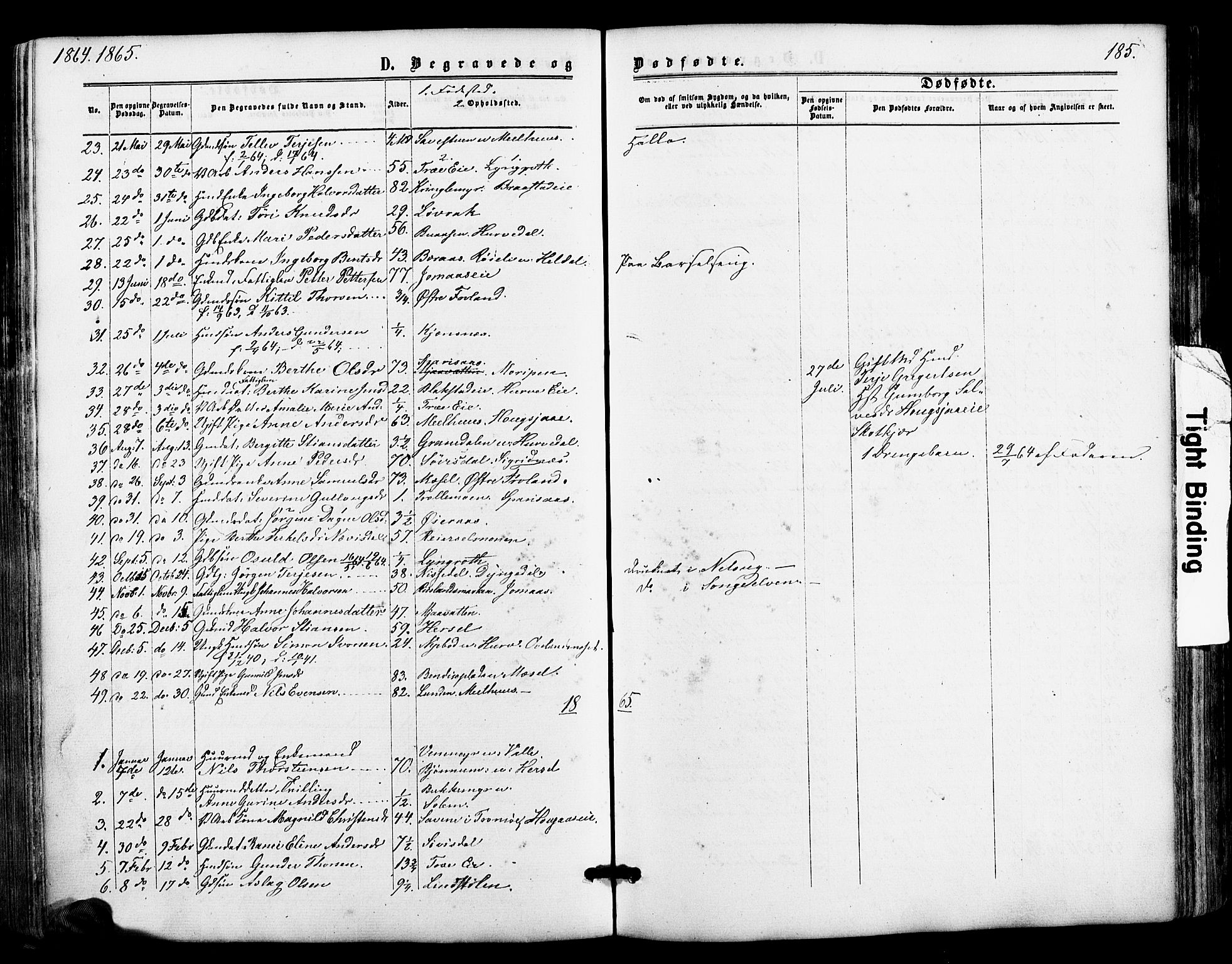 Froland sokneprestkontor, SAK/1111-0013/F/Fa/L0003: Parish register (official) no. A 3, 1864-1881, p. 185