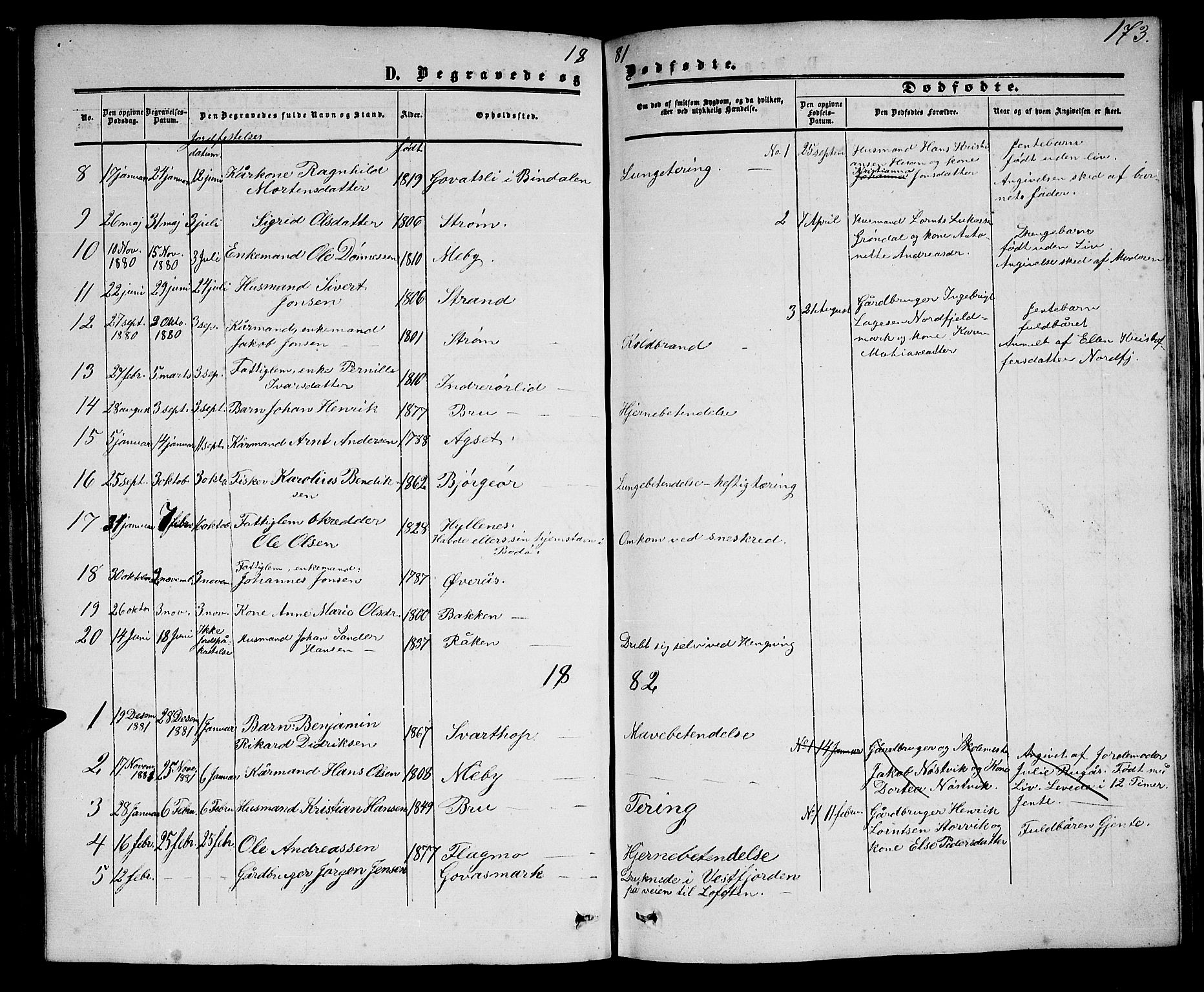 Ministerialprotokoller, klokkerbøker og fødselsregistre - Nordland, AV/SAT-A-1459/814/L0229: Parish register (copy) no. 814C02, 1859-1883, p. 173