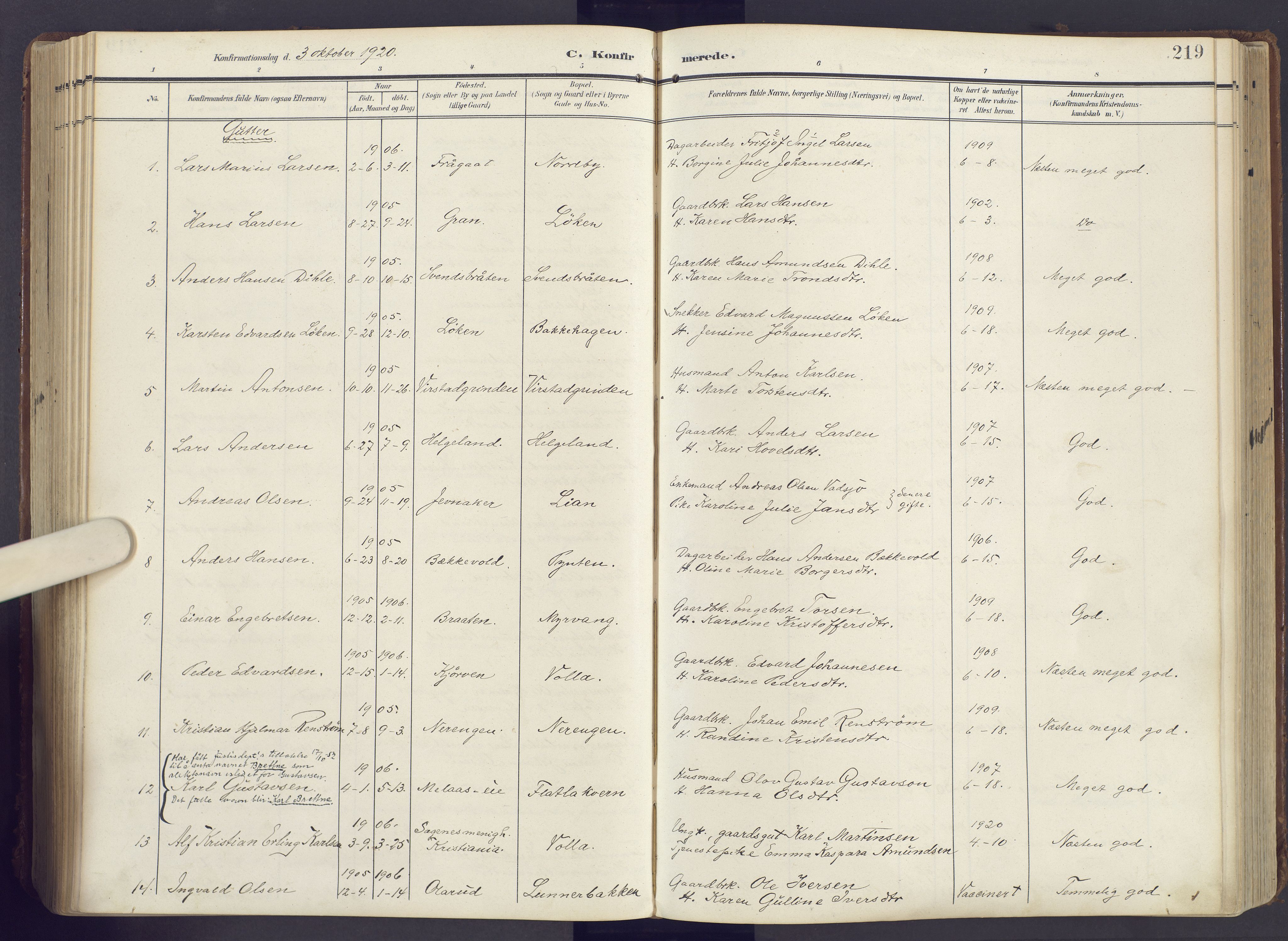 Lunner prestekontor, SAH/PREST-118/H/Ha/Haa/L0001: Parish register (official) no. 1, 1907-1922, p. 219