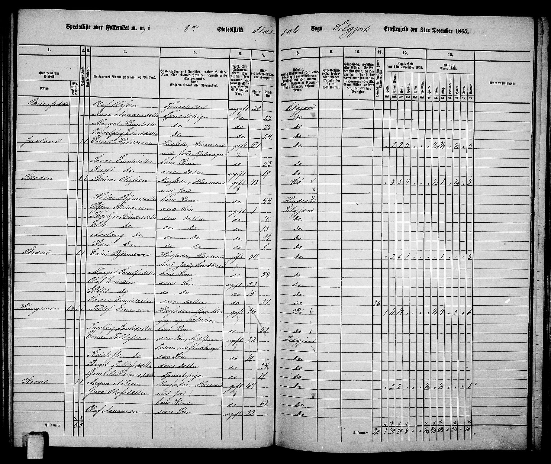 RA, 1865 census for Seljord, 1865, p. 111