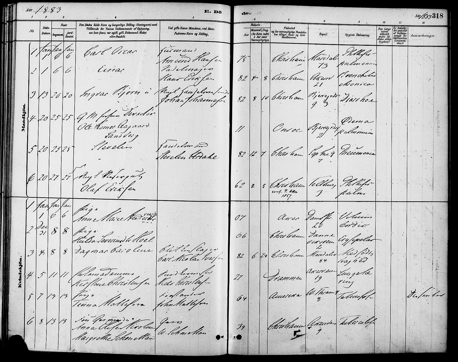 Gamle Aker prestekontor Kirkebøker, SAO/A-10617a/F/L0006: Parish register (official) no. 6, 1880-1887, p. 318