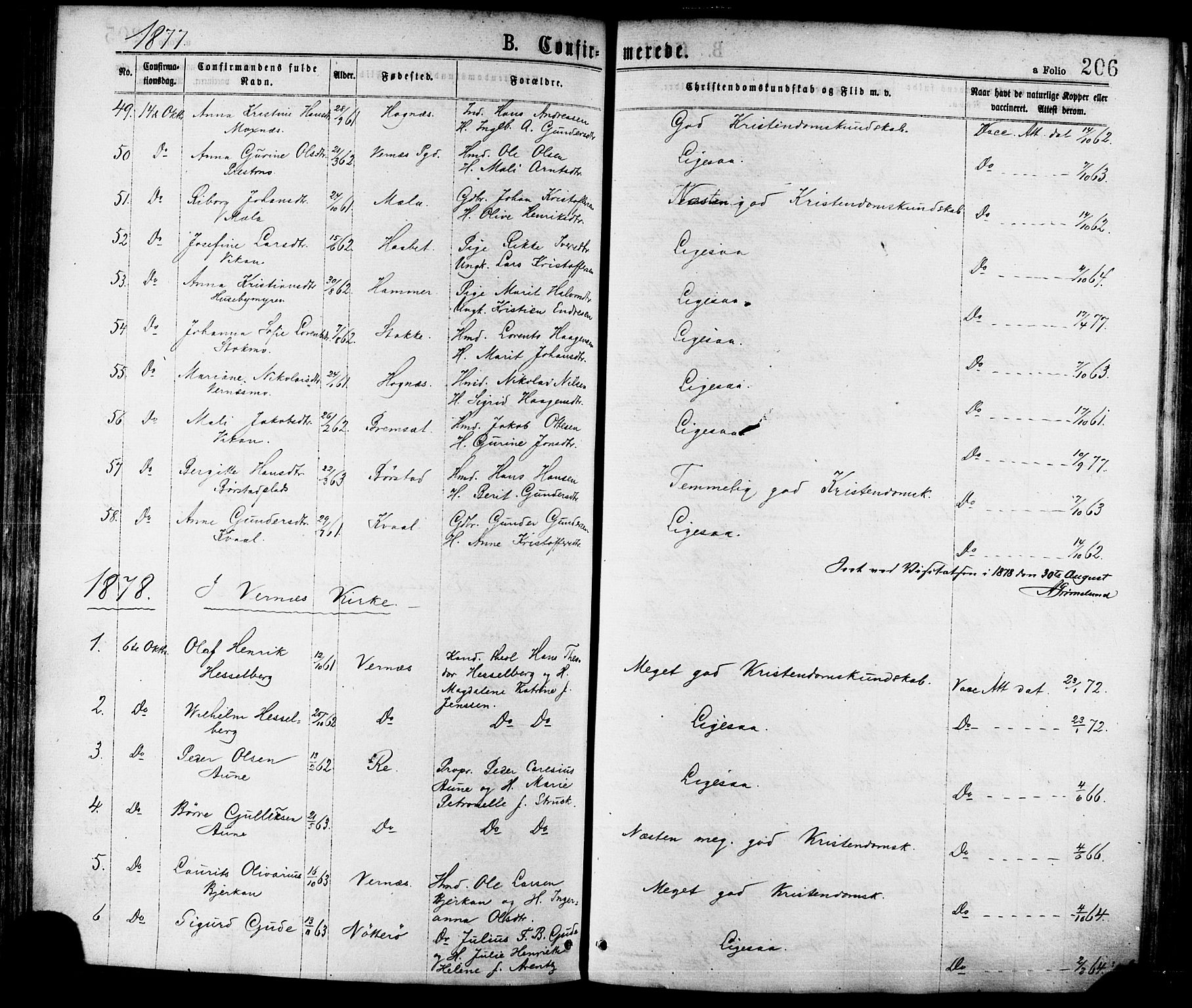 Ministerialprotokoller, klokkerbøker og fødselsregistre - Nord-Trøndelag, AV/SAT-A-1458/709/L0076: Parish register (official) no. 709A16, 1871-1879, p. 206