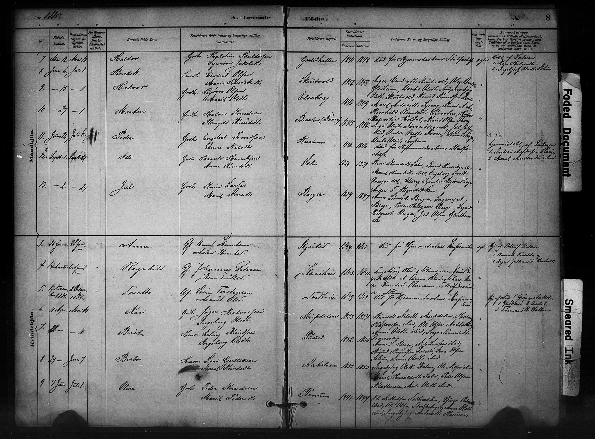 Nord-Aurdal prestekontor, AV/SAH-PREST-132/H/Ha/Haa/L0012: Parish register (official) no. 12, 1883-1895, p. 8