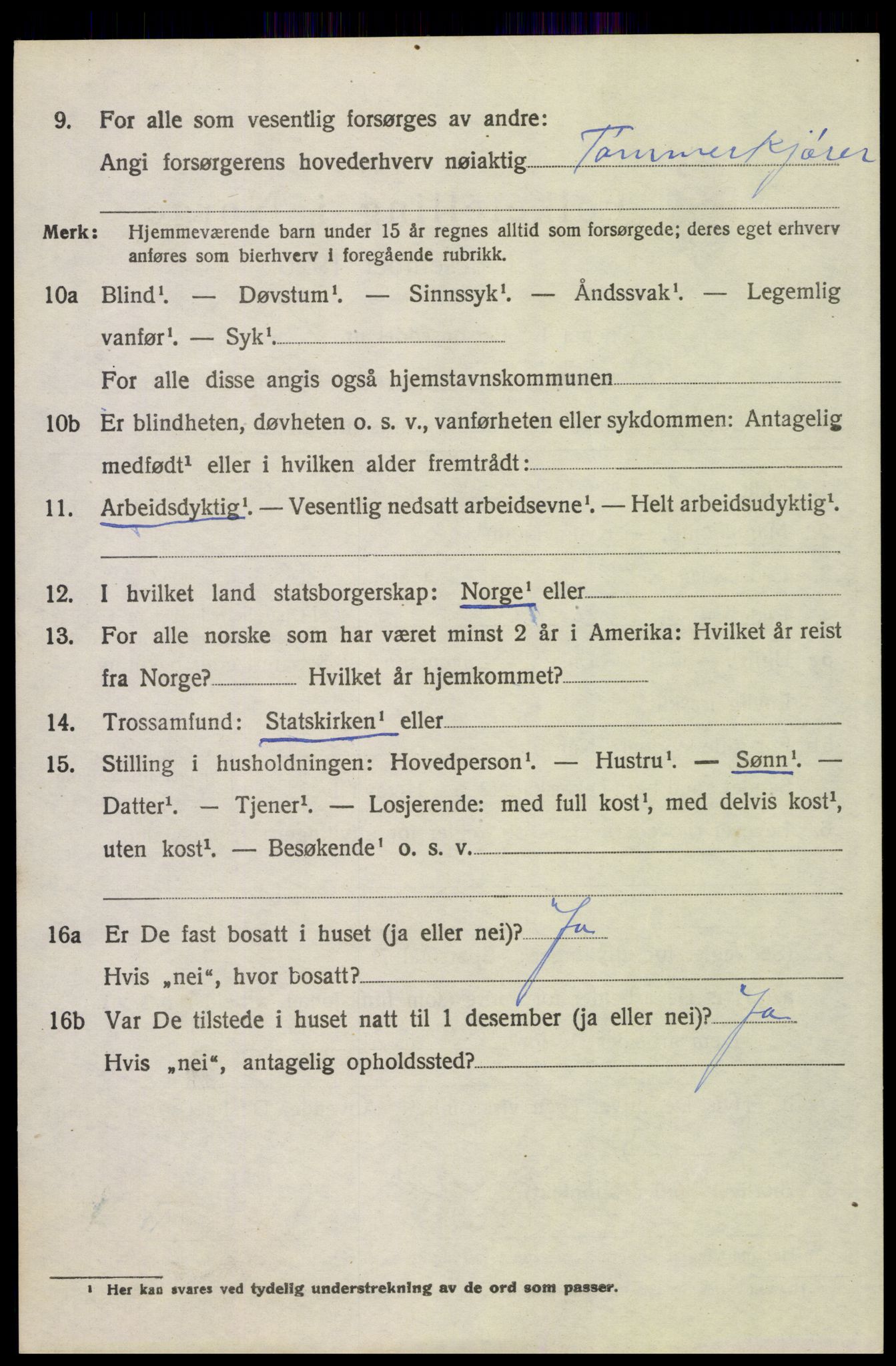 SAH, 1920 census for Trysil, 1920, p. 3160