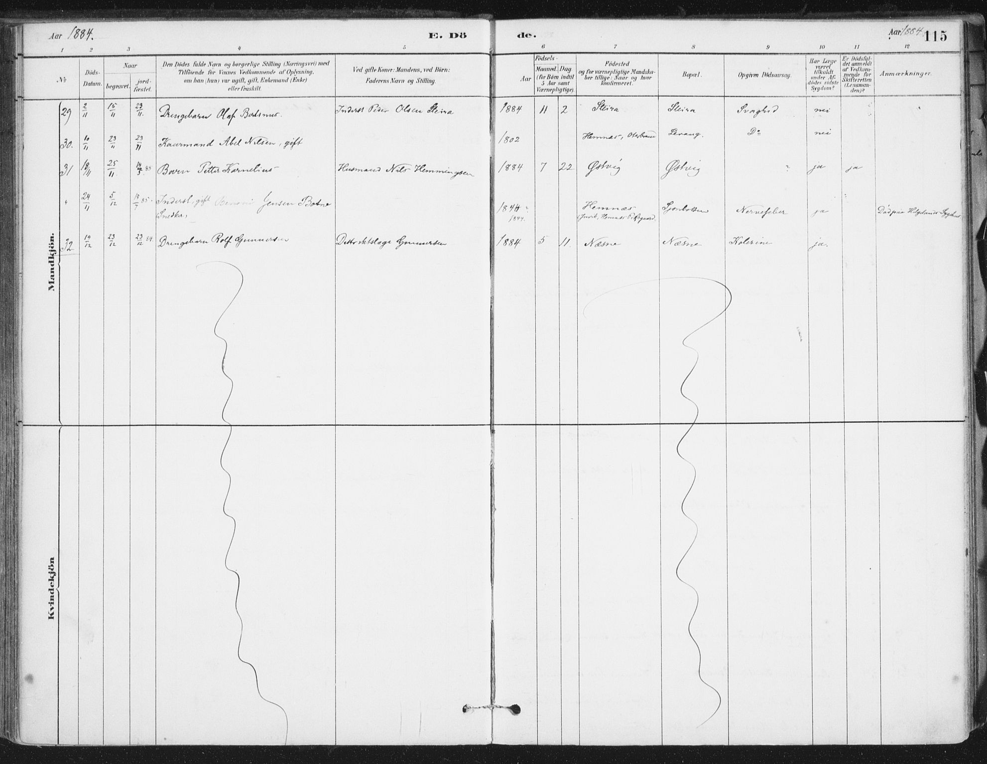 Ministerialprotokoller, klokkerbøker og fødselsregistre - Nordland, AV/SAT-A-1459/838/L0553: Parish register (official) no. 838A11, 1880-1910, p. 115