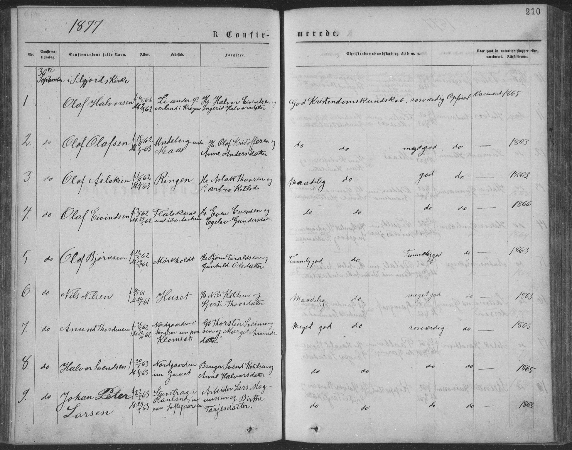 Seljord kirkebøker, SAKO/A-20/F/Fa/L0014: Parish register (official) no. I 14, 1877-1886, p. 210