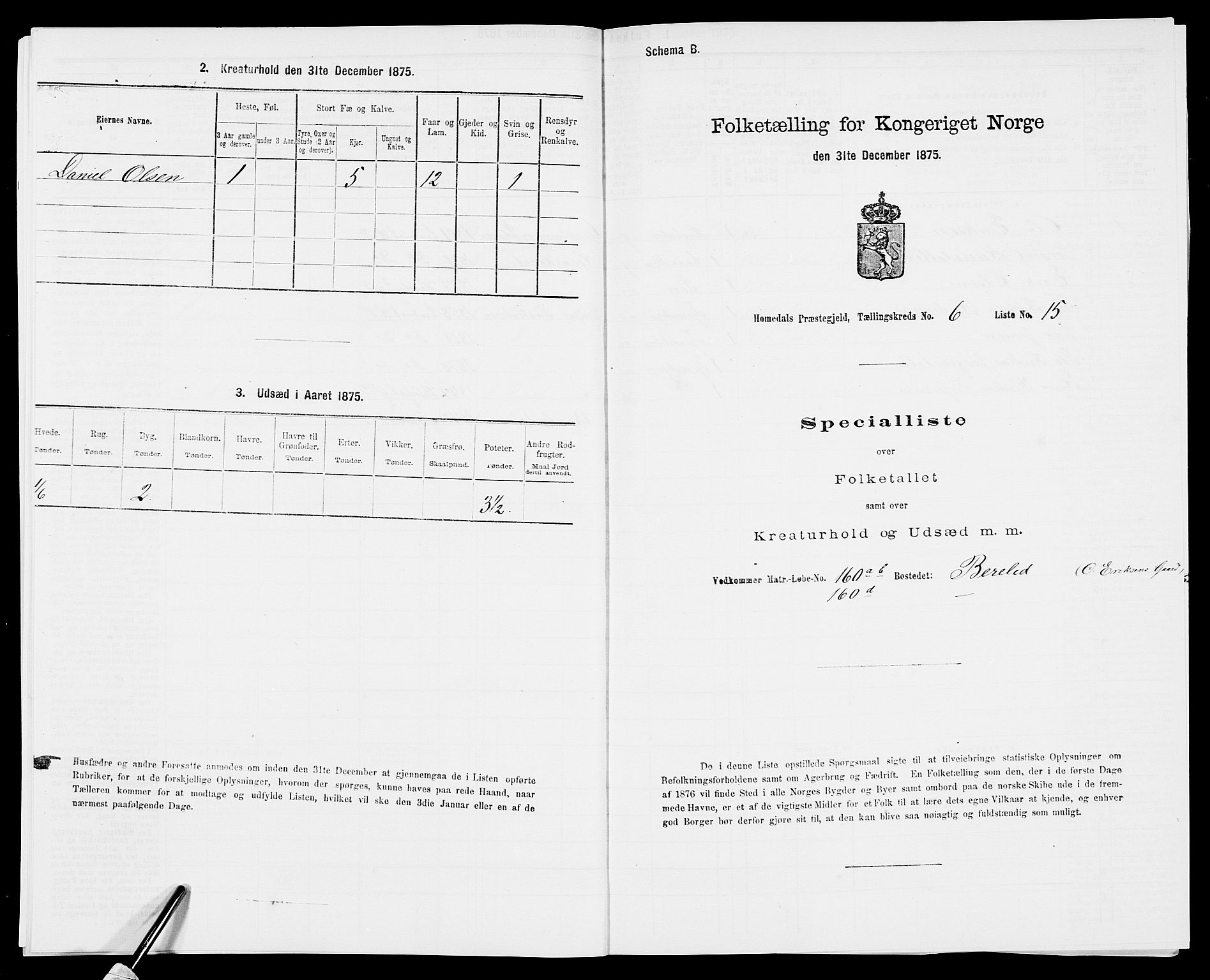 SAK, 1875 census for 0924P Homedal, 1875, p. 1066