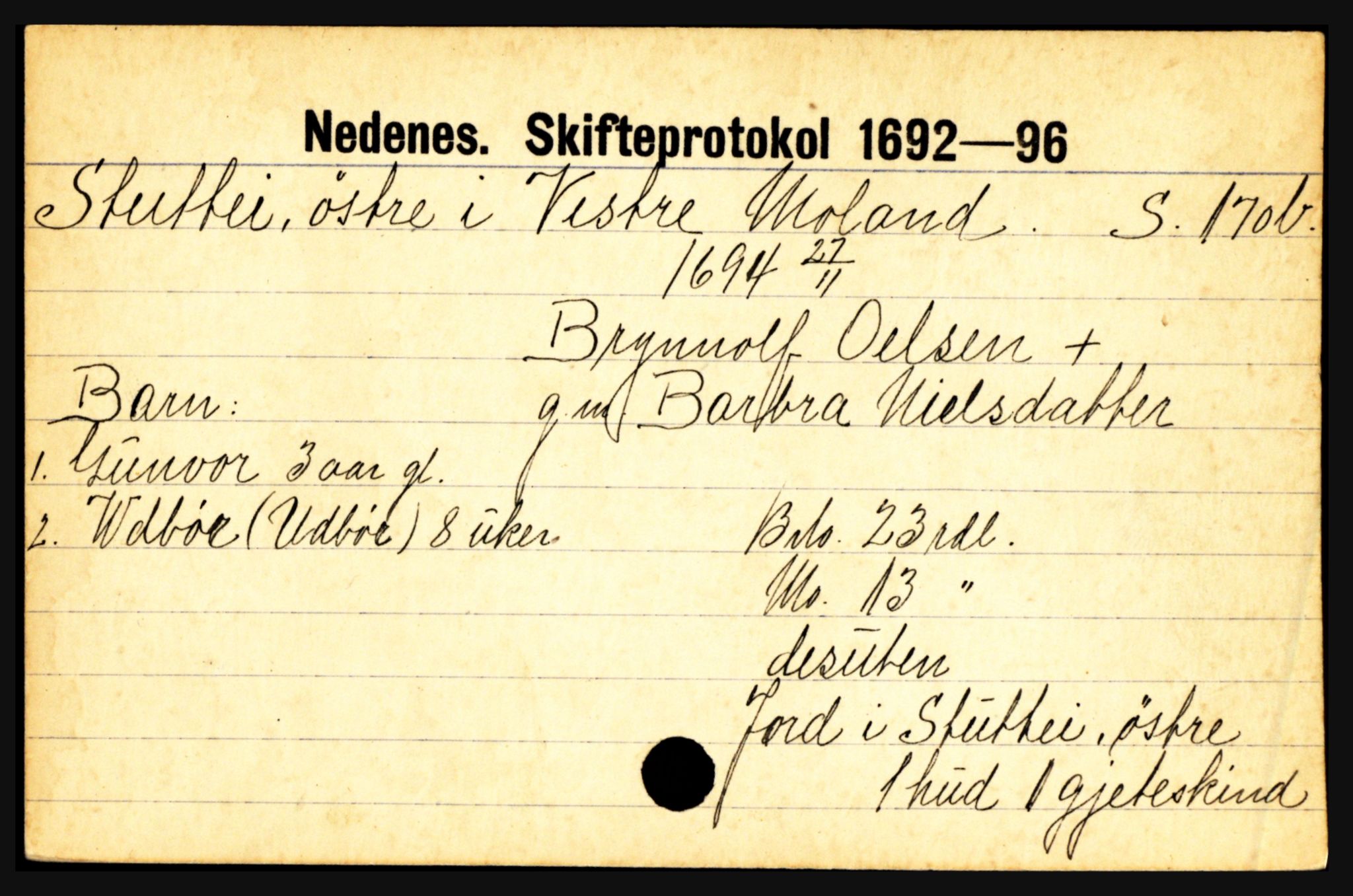 Nedenes sorenskriveri før 1824, AV/SAK-1221-0007/H, p. 28949