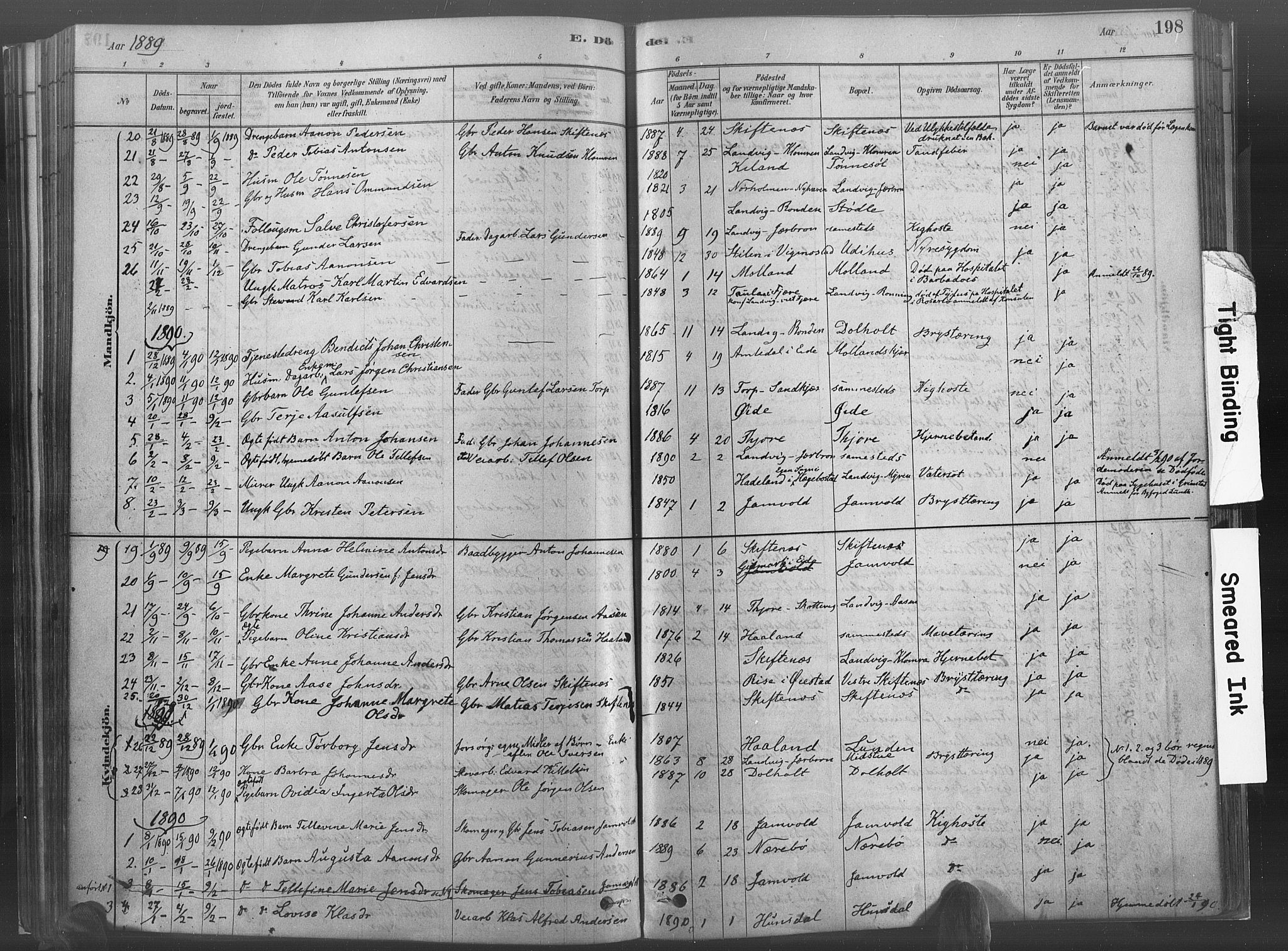 Hommedal sokneprestkontor, AV/SAK-1111-0023/F/Fa/Fab/L0006: Parish register (official) no. A 6, 1878-1897, p. 198