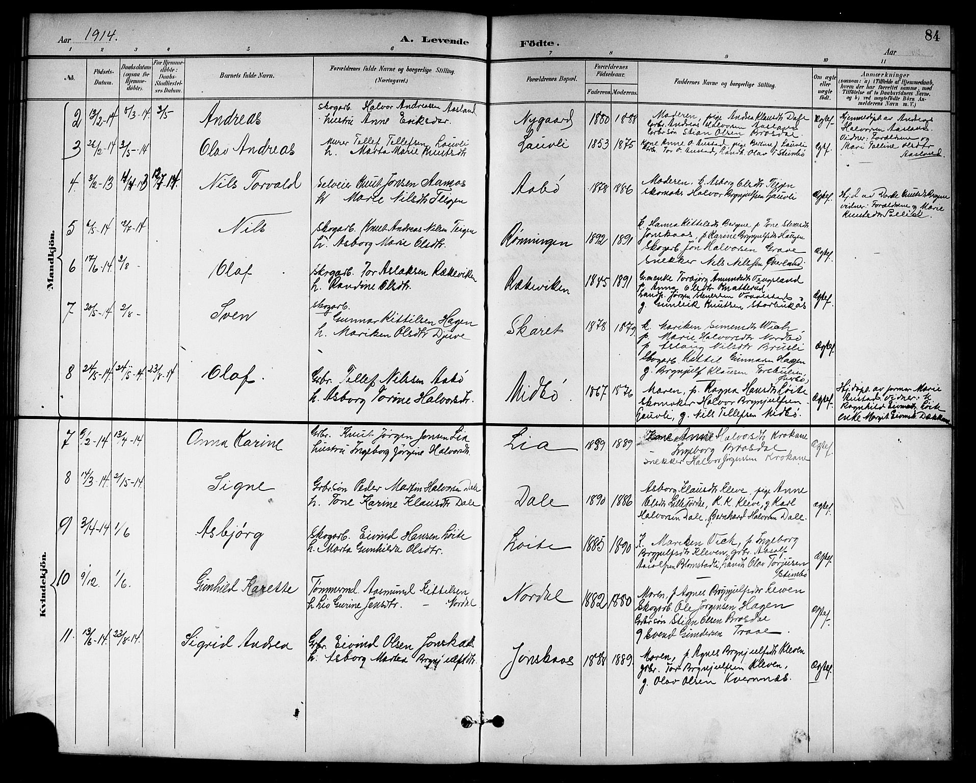Drangedal kirkebøker, SAKO/A-258/G/Gb/L0002: Parish register (copy) no. II 2, 1895-1918, p. 84