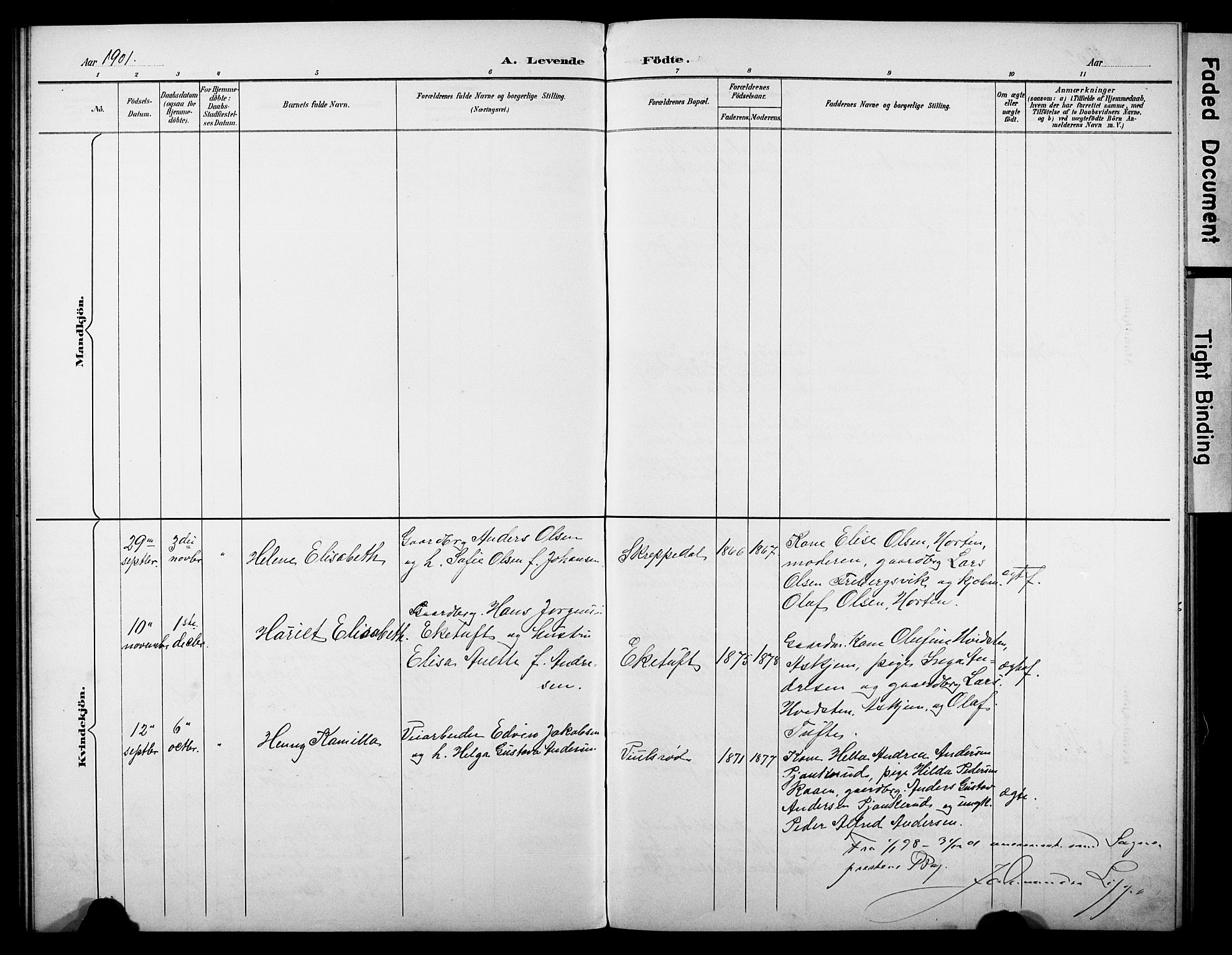 Borre kirkebøker, AV/SAKO-A-338/G/Gb/L0003: Parish register (copy) no. II 3, 1893-1905