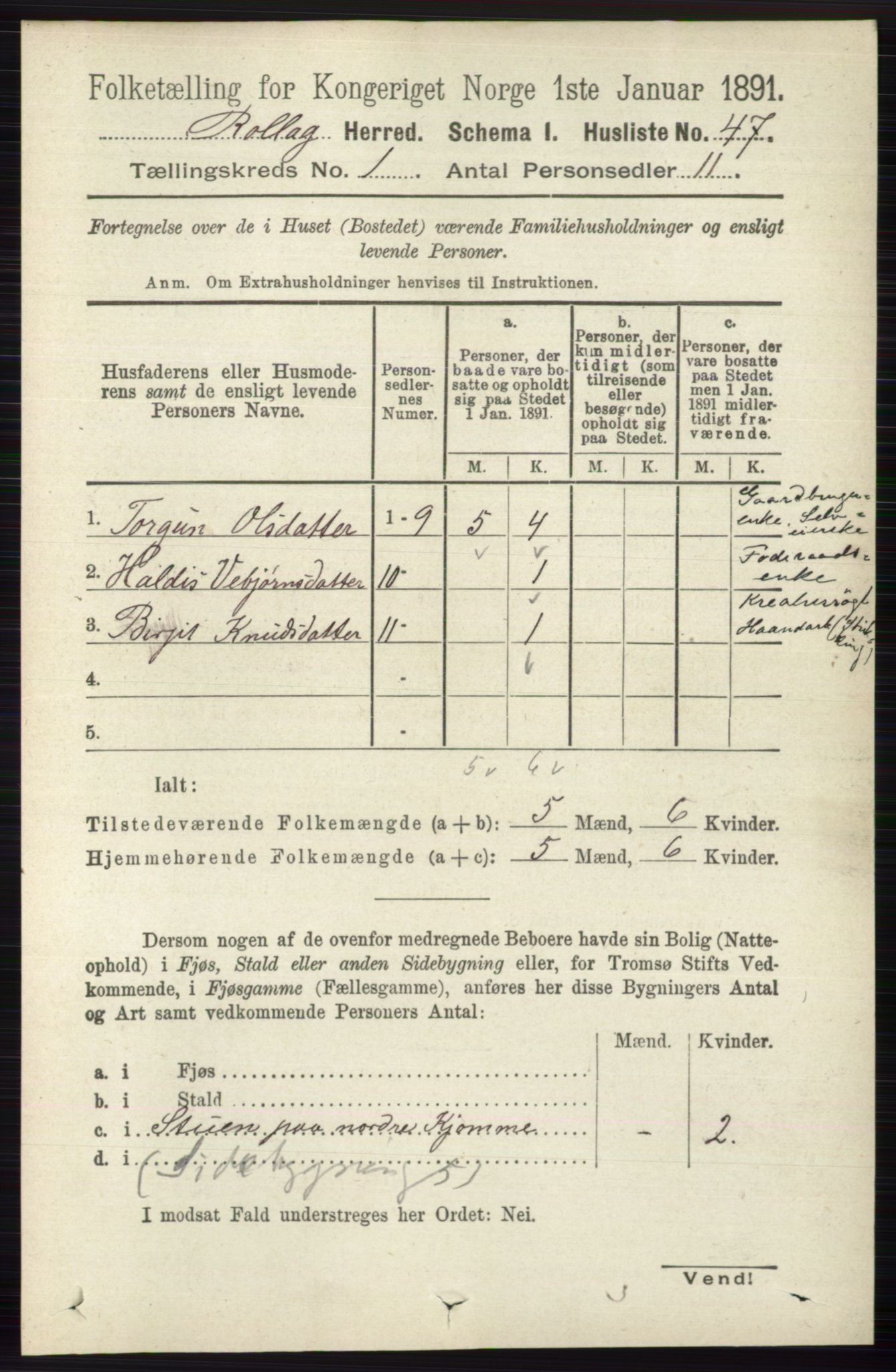 RA, 1891 census for 0632 Rollag, 1891, p. 63