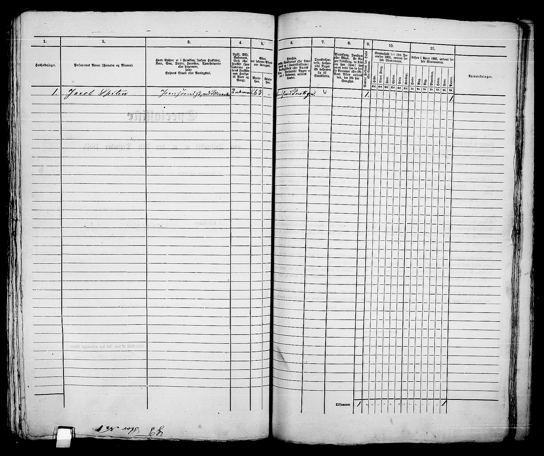 RA, 1865 census for Kongsberg/Kongsberg, 1865, p. 910