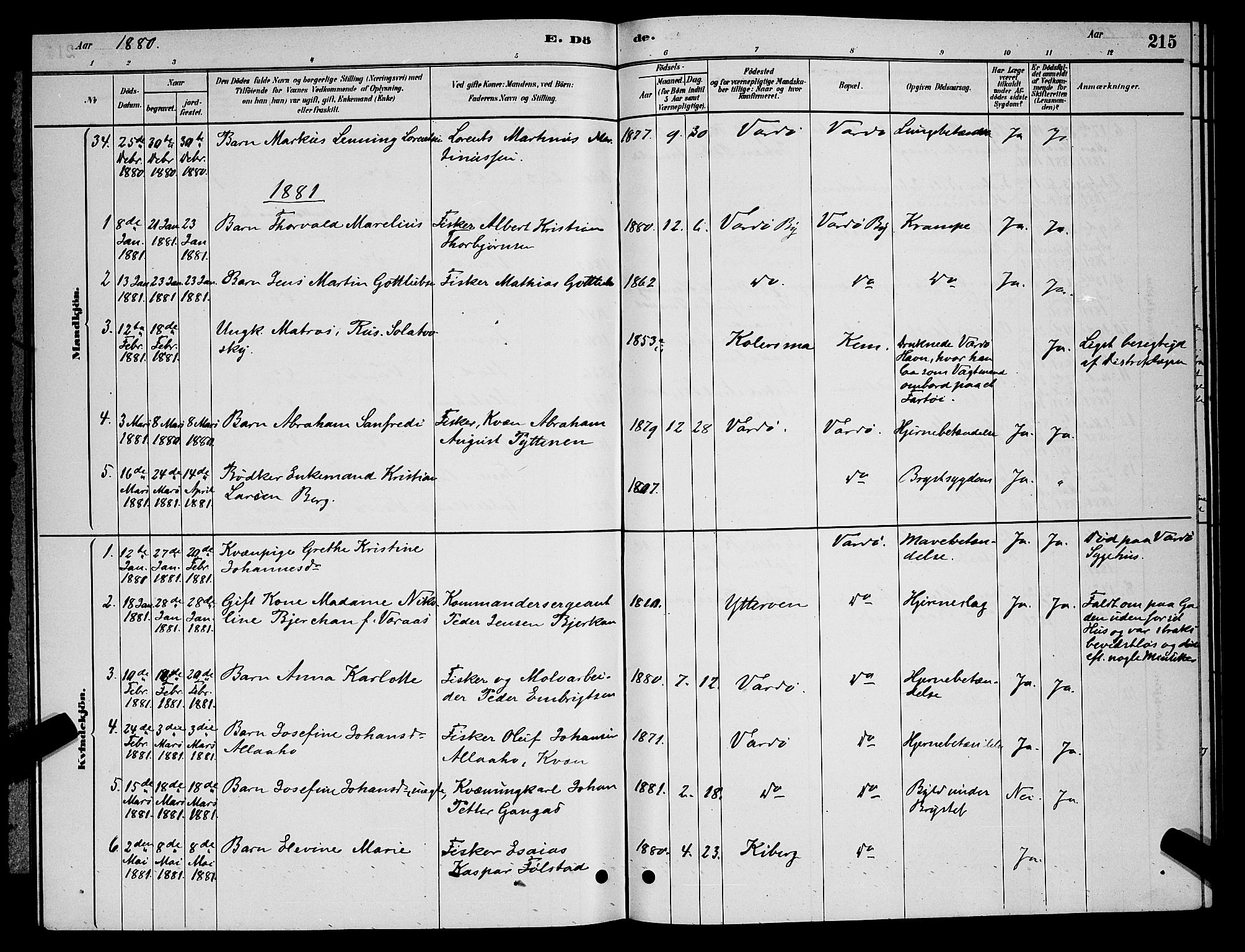 Vardø sokneprestkontor, AV/SATØ-S-1332/H/Hb/L0004klokker: Parish register (copy) no. 4, 1879-1887, p. 215