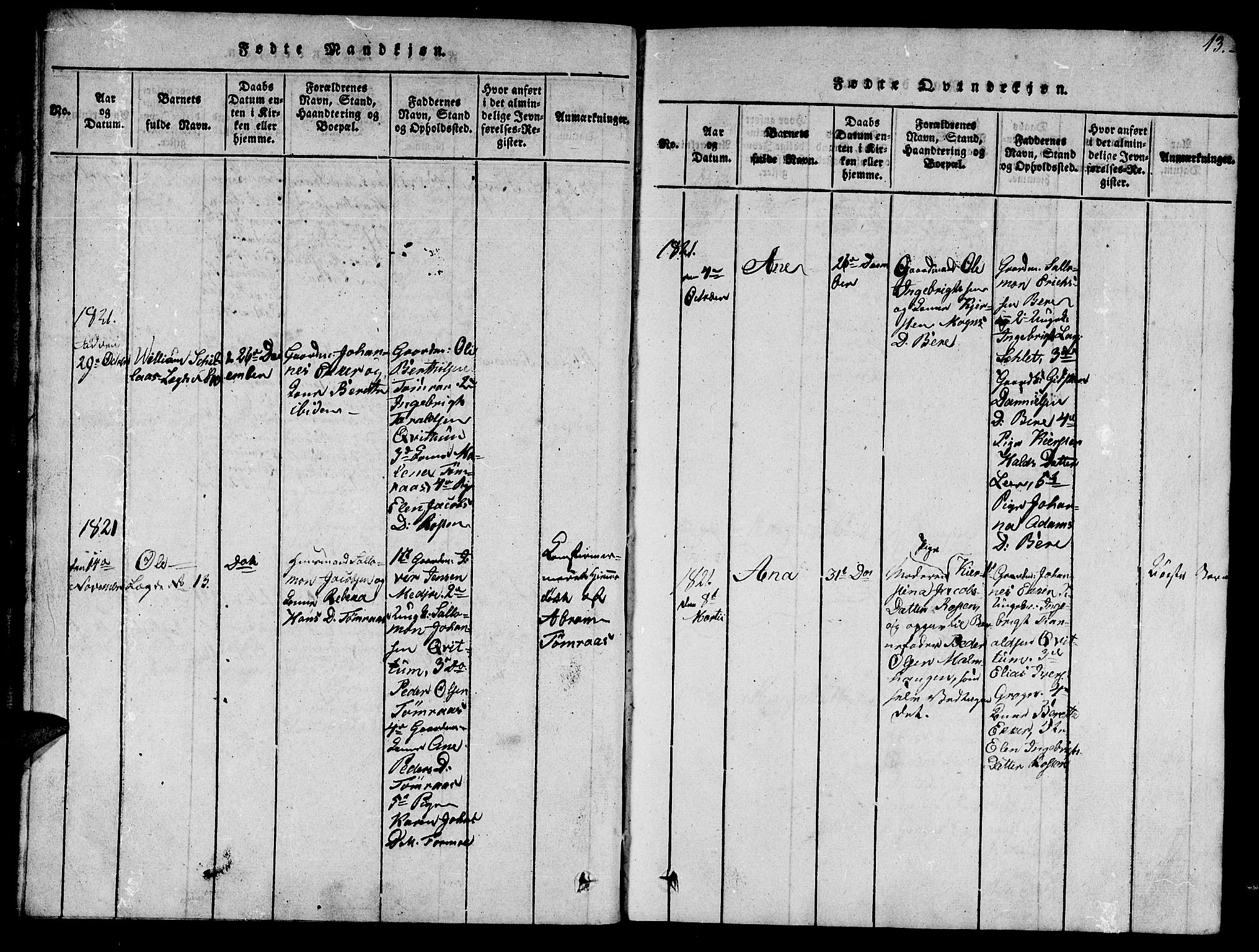 Ministerialprotokoller, klokkerbøker og fødselsregistre - Nord-Trøndelag, SAT/A-1458/758/L0521: Parish register (copy) no. 758C01, 1816-1825, p. 13