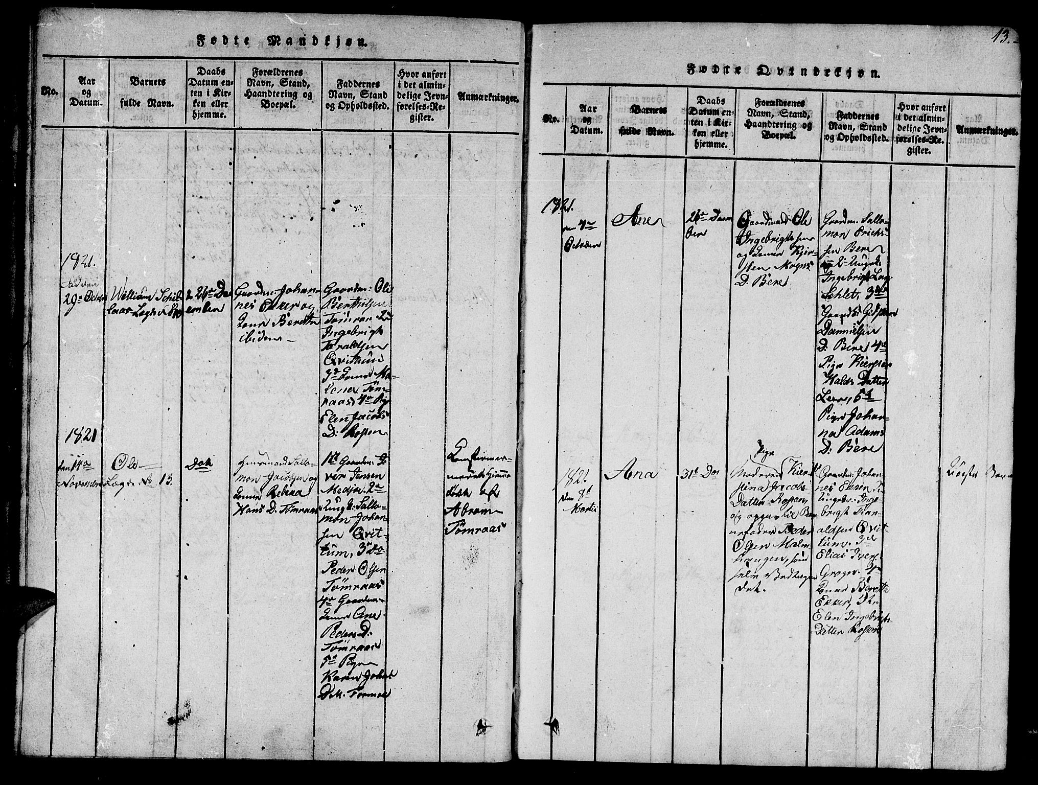 Ministerialprotokoller, klokkerbøker og fødselsregistre - Nord-Trøndelag, AV/SAT-A-1458/758/L0521: Parish register (copy) no. 758C01, 1816-1825, p. 13