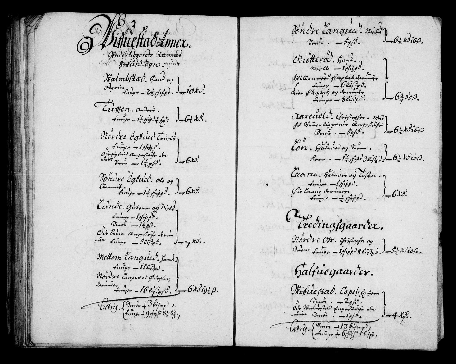 Rentekammeret inntil 1814, Realistisk ordnet avdeling, AV/RA-EA-4070/N/Na/L0003/0001: [XI h]: Tønsbergs amt og Larvik grevskaps jordebøker: / (A) Leilendigsskatt inkl. håndverkere, husmenn og strandsittere, samt Griffenfelds jordegods i Larvik grevskap., 1674