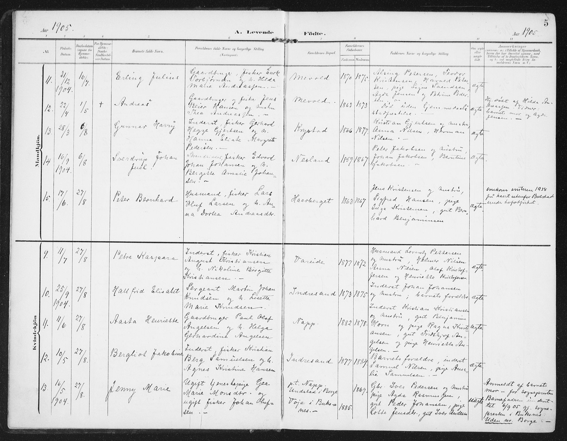 Ministerialprotokoller, klokkerbøker og fødselsregistre - Nordland, SAT/A-1459/885/L1206: Parish register (official) no. 885A07, 1905-1915, p. 5