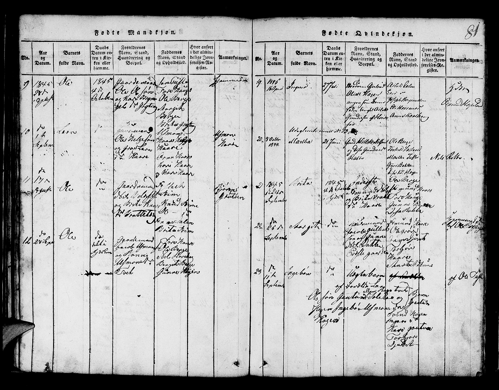 Røldal sokneprestembete, AV/SAB-A-100247: Parish register (copy) no. A 1, 1817-1860, p. 81