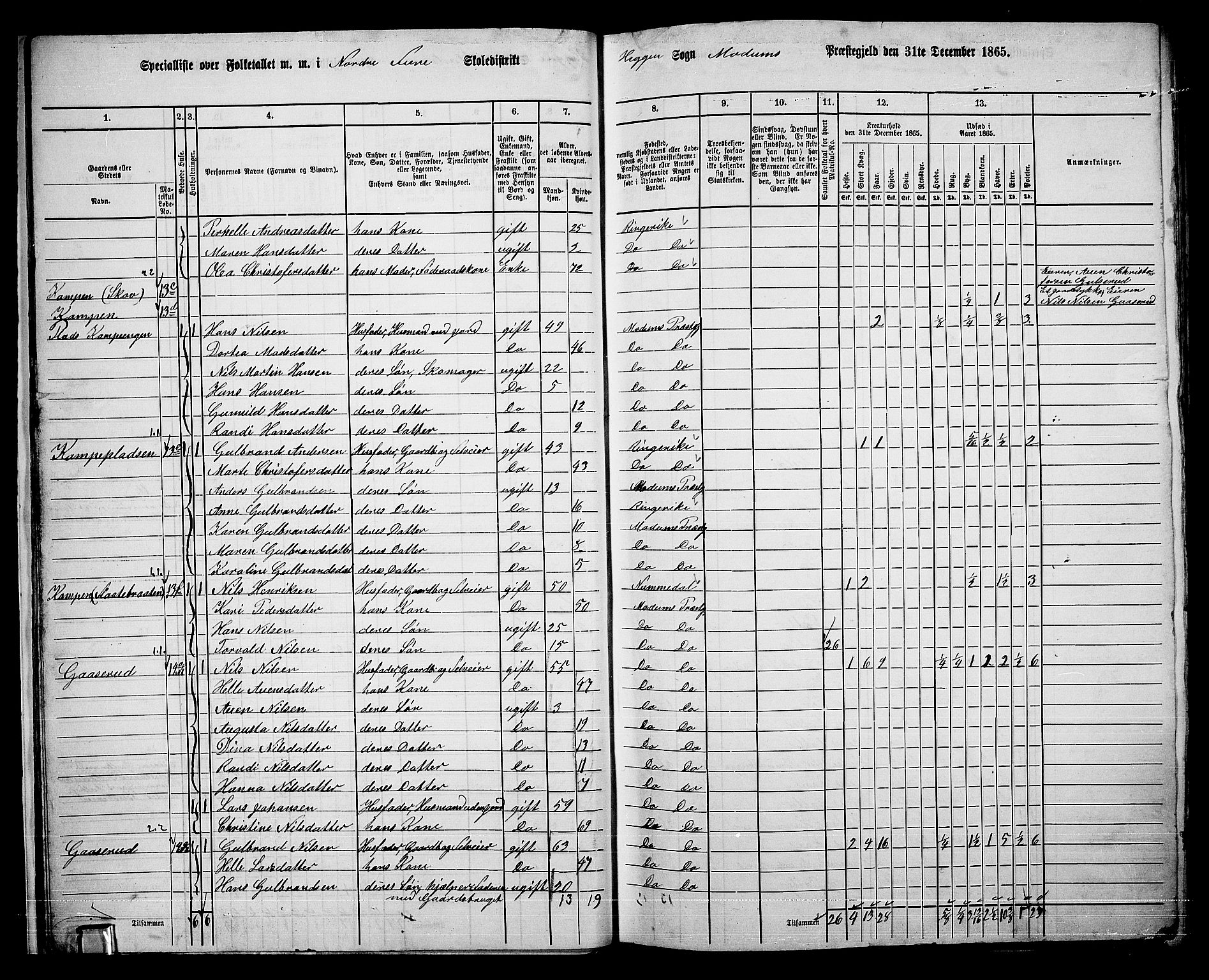 RA, 1865 census for Modum, 1865, p. 27