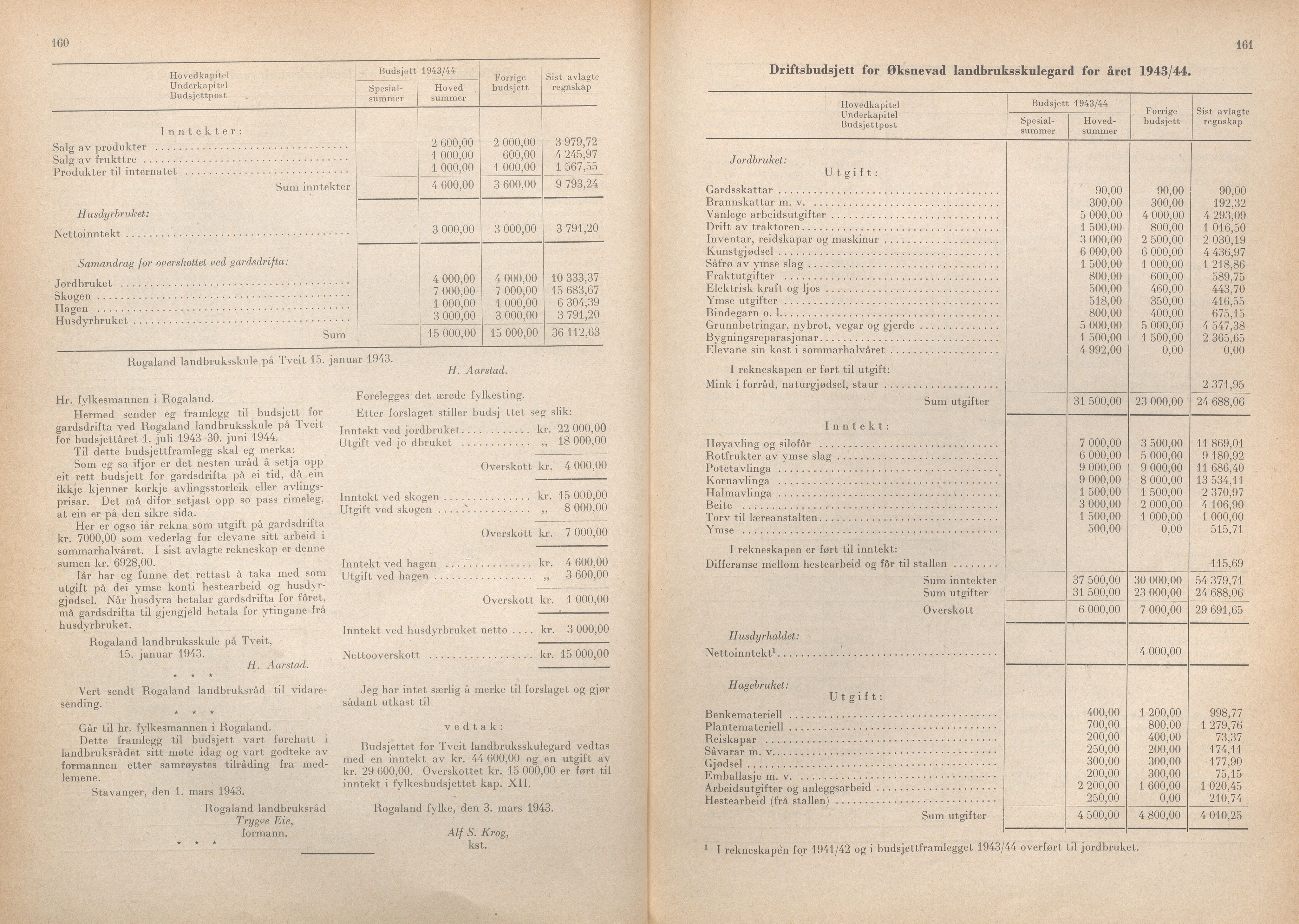 Rogaland fylkeskommune - Fylkesrådmannen , IKAR/A-900/A/Aa/Aaa/L0062: Møtebok , 1943, p. 160-161