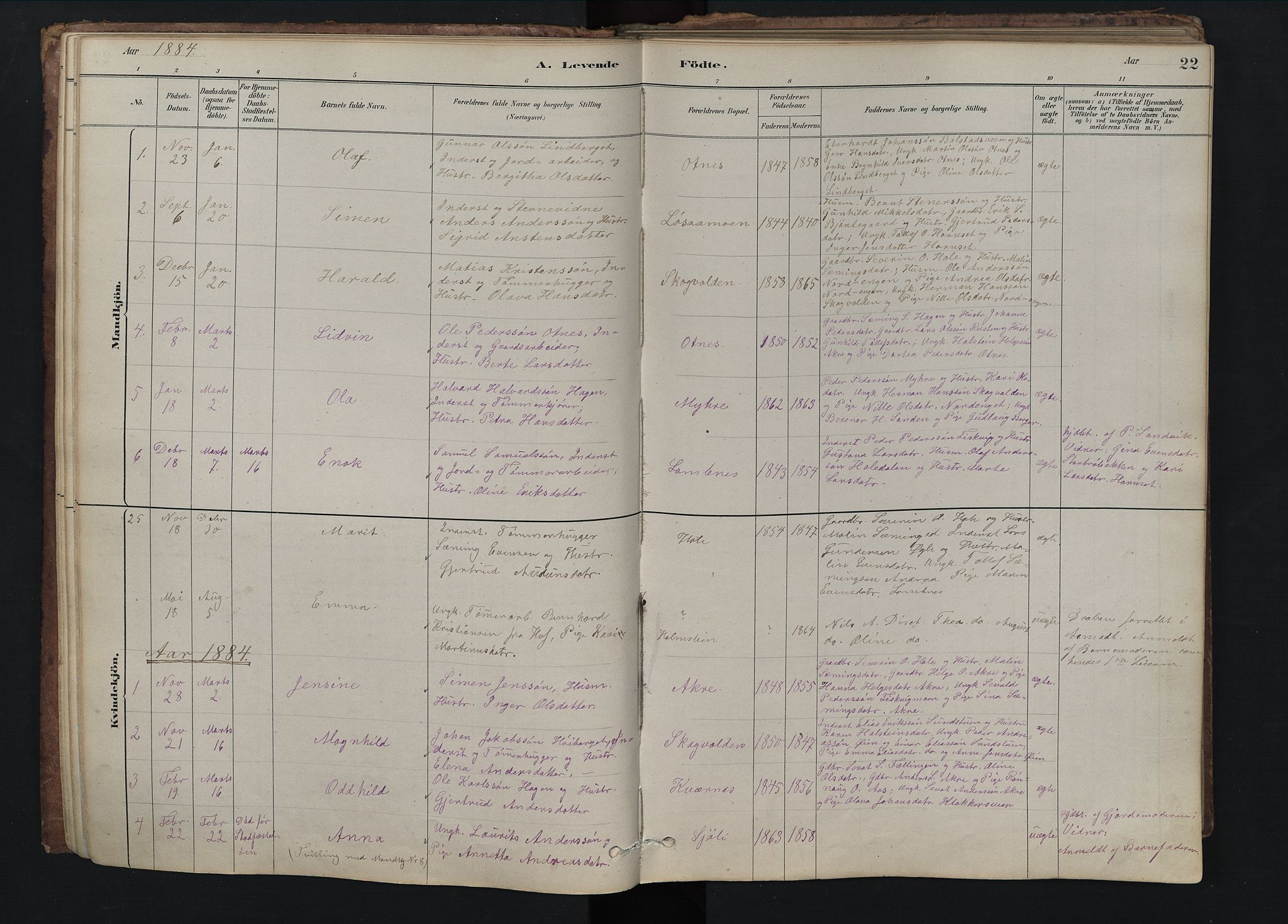 Rendalen prestekontor, SAH/PREST-054/H/Ha/Hab/L0009: Parish register (copy) no. 9, 1879-1902, p. 22