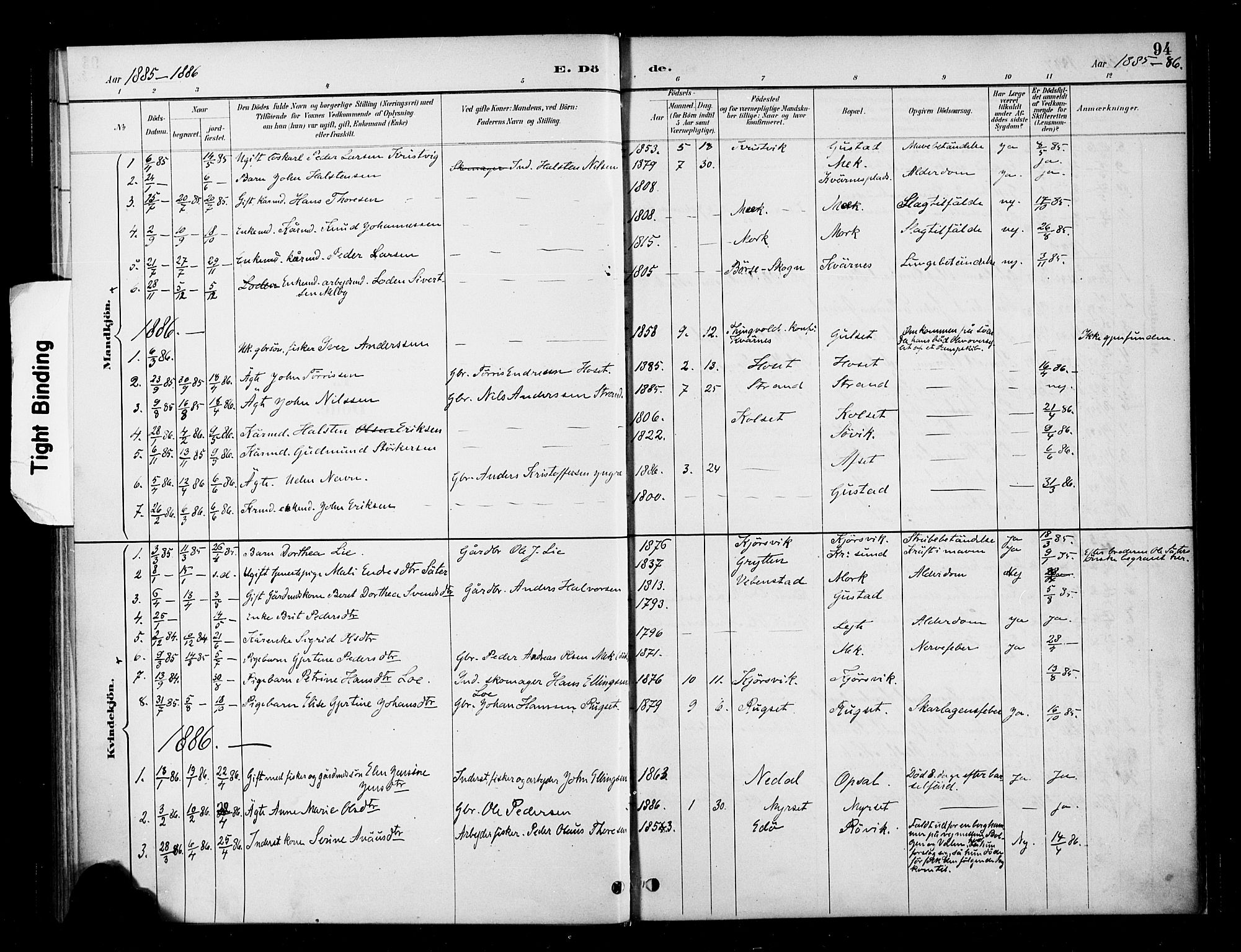 Ministerialprotokoller, klokkerbøker og fødselsregistre - Møre og Romsdal, SAT/A-1454/568/L0809: Parish register (official) no. 568A13, 1884-1900, p. 94