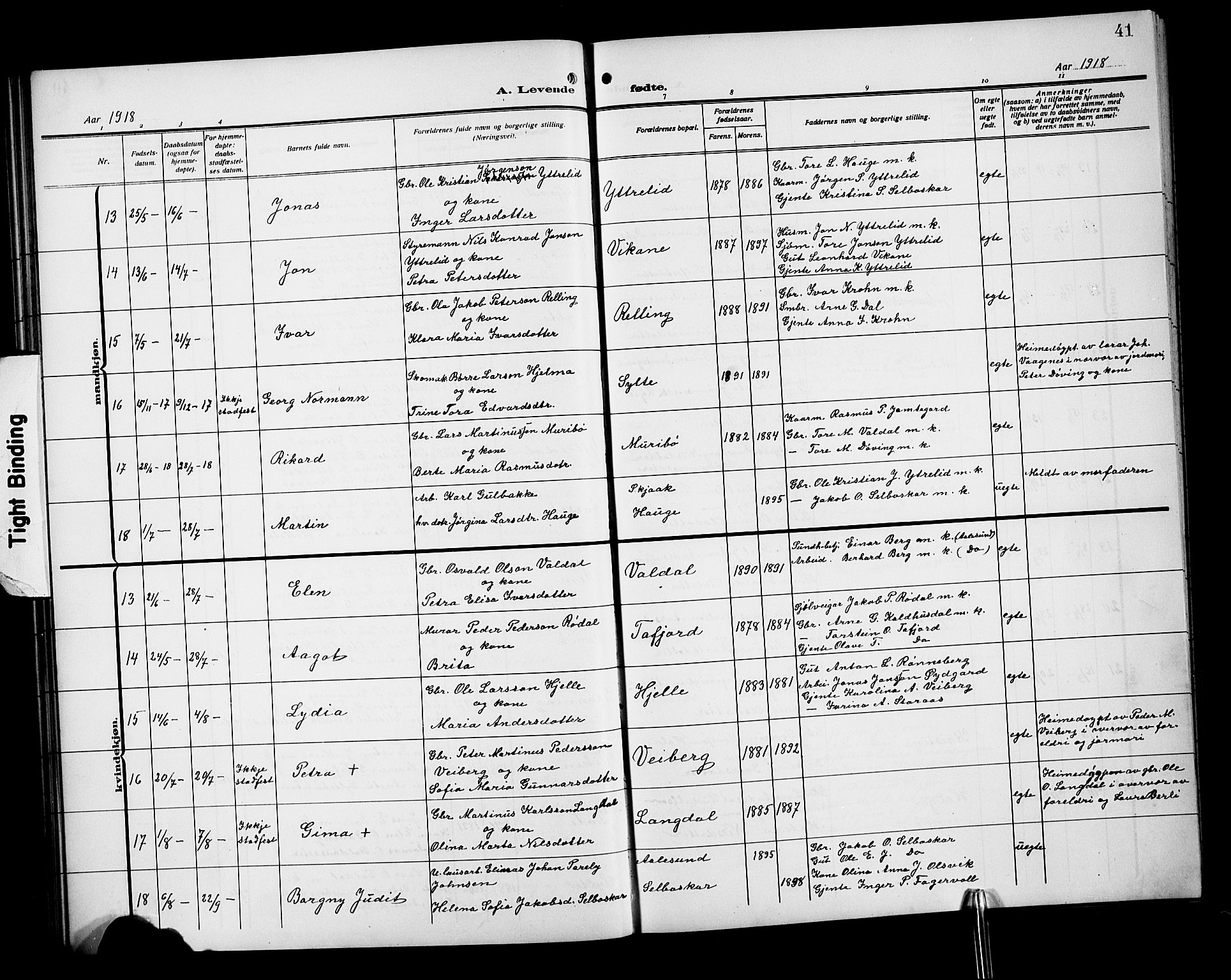 Ministerialprotokoller, klokkerbøker og fødselsregistre - Møre og Romsdal, AV/SAT-A-1454/519/L0265: Parish register (copy) no. 519C06, 1911-1921, p. 41