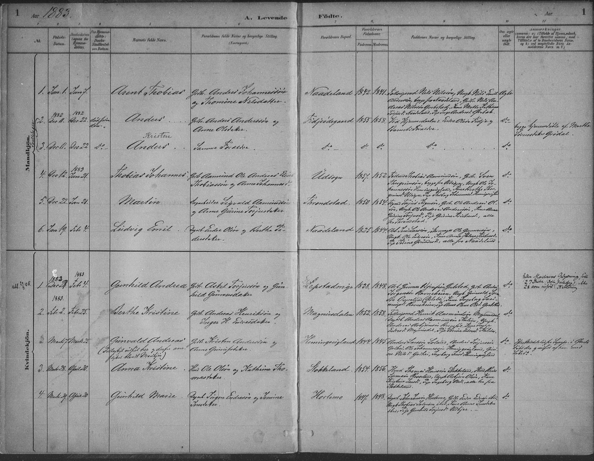Søgne sokneprestkontor, SAK/1111-0037/F/Fa/Faa/L0003: Parish register (official) no. A 3, 1883-1910, p. 1