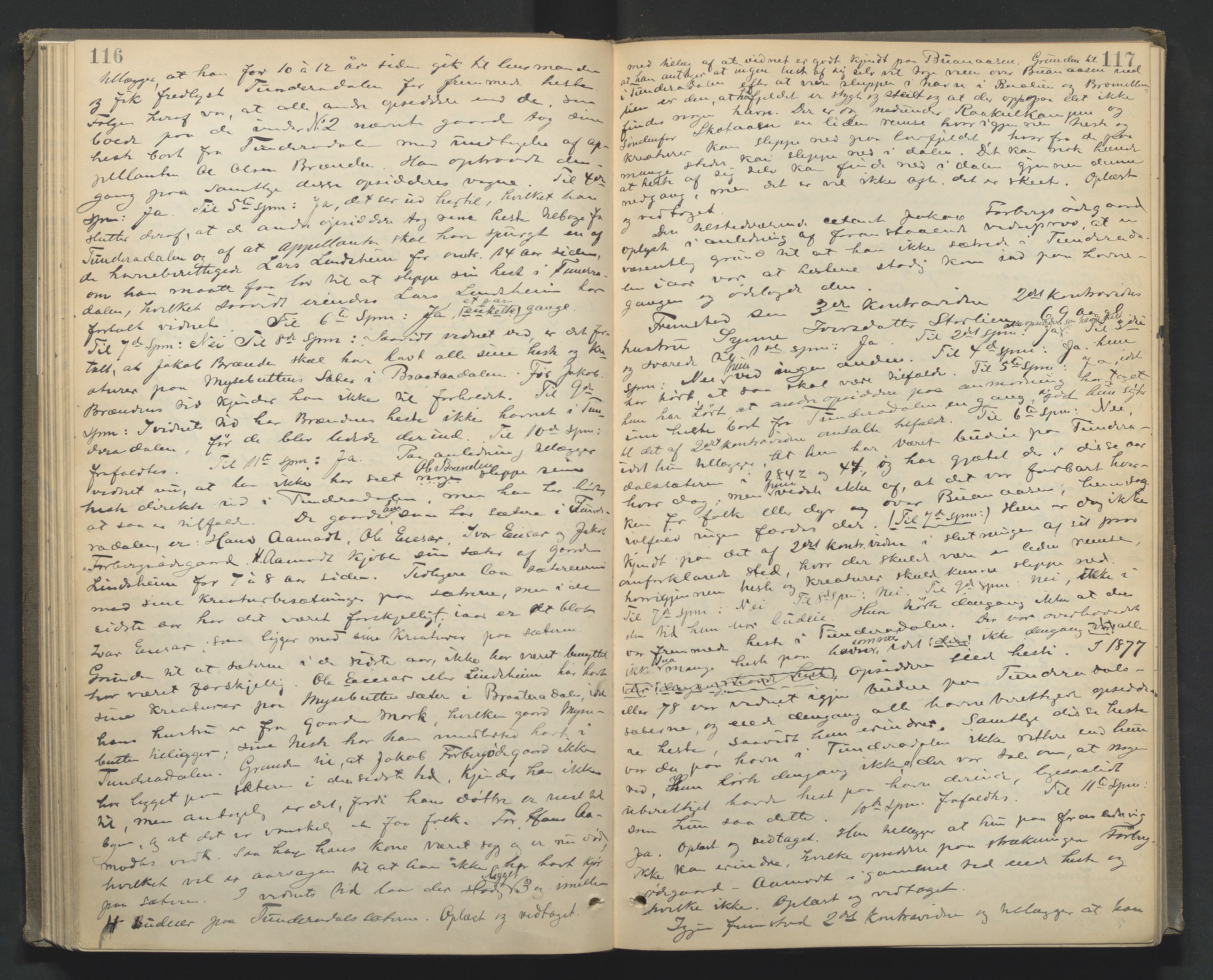 Nord-Gudbrandsdal tingrett, AV/SAH-TING-002/G/Gc/Gcb/L0005: Ekstrarettsprotokoll for åstedssaker, 1889-1900, p. 116-117