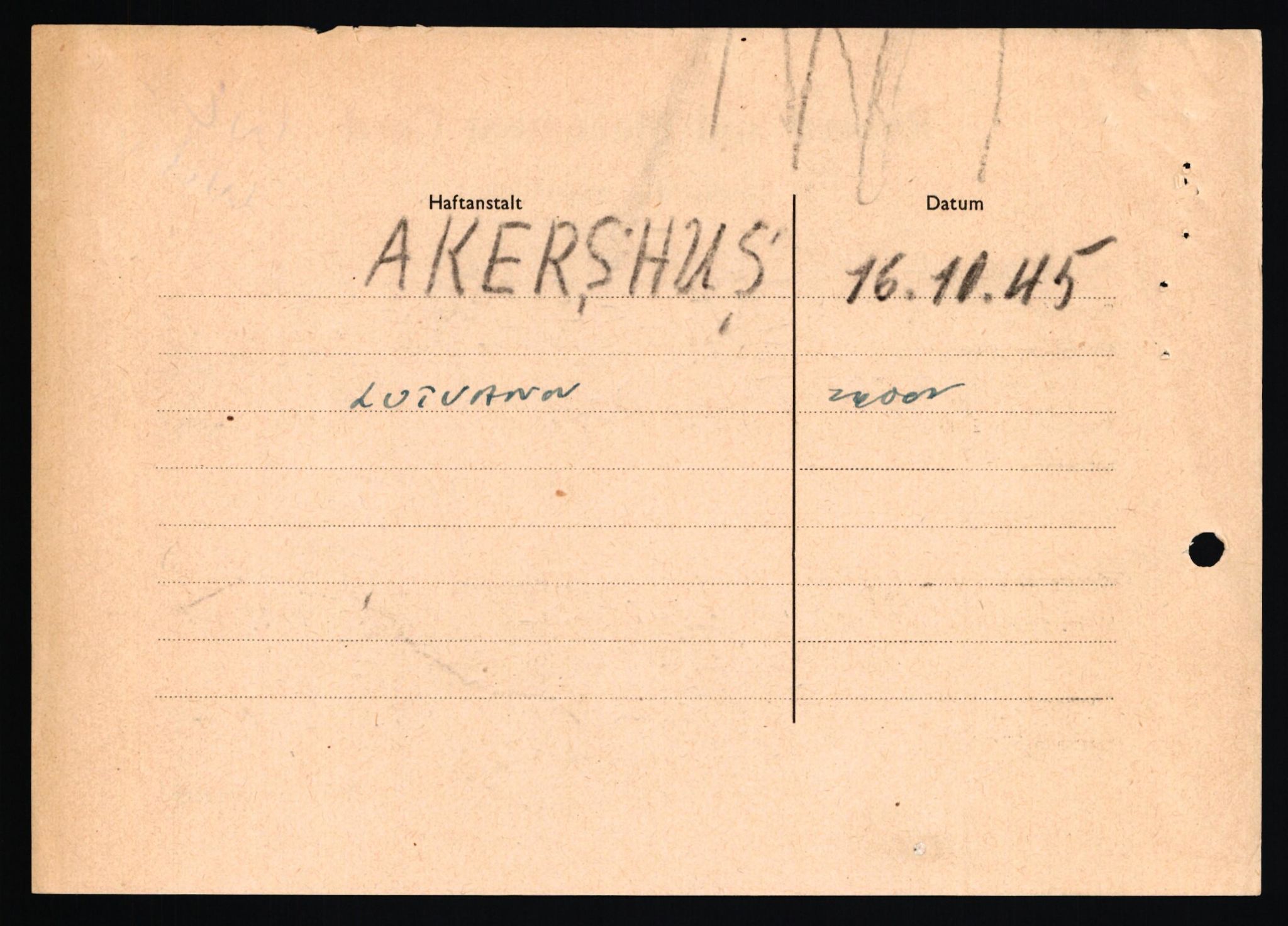 Forsvaret, Forsvarets overkommando II, RA/RAFA-3915/D/Db/L0033: CI Questionaires. Tyske okkupasjonsstyrker i Norge. Tyskere., 1945-1946, p. 249